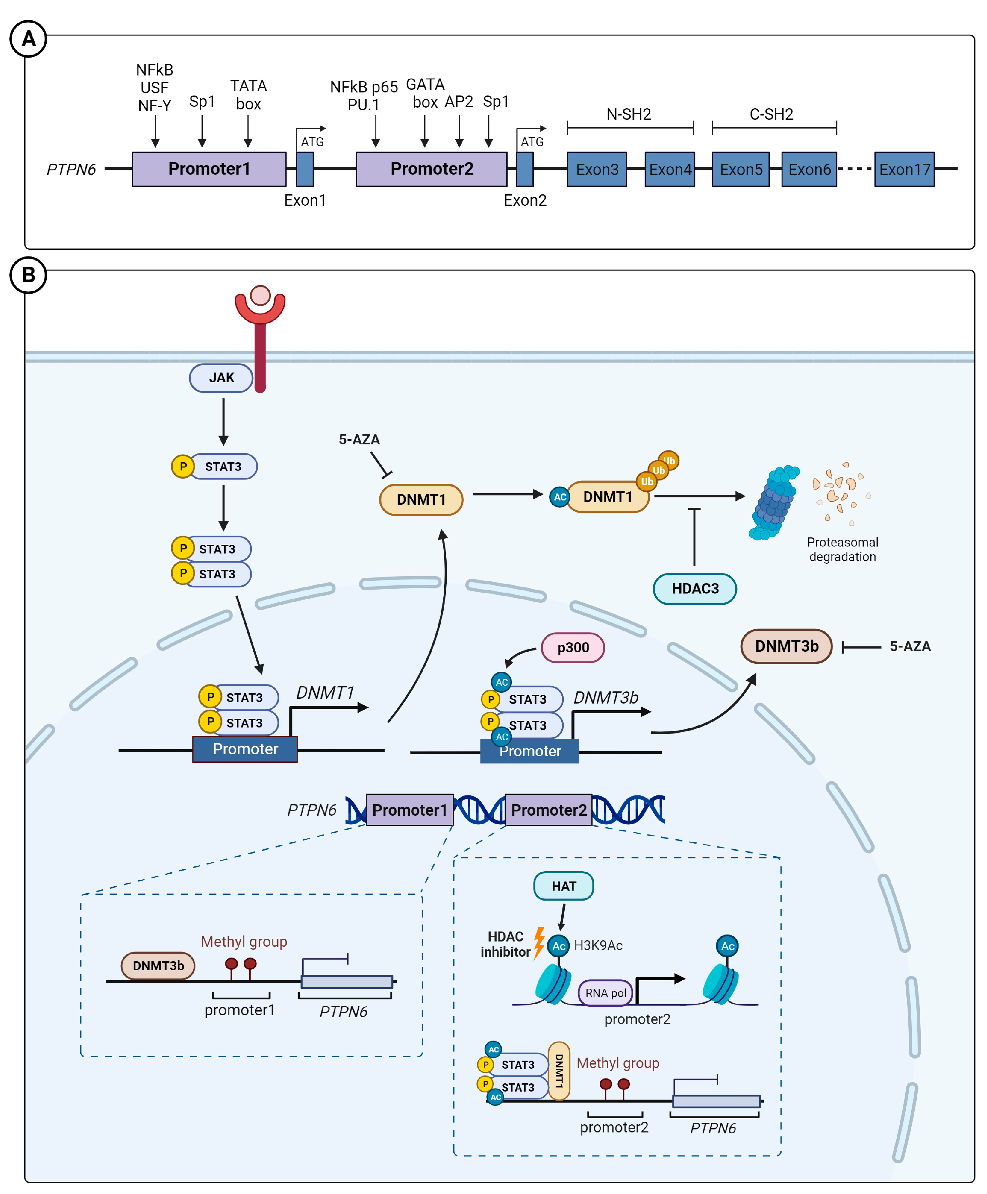Ijms 25 00331 g001 Ijms 25 00331 g001