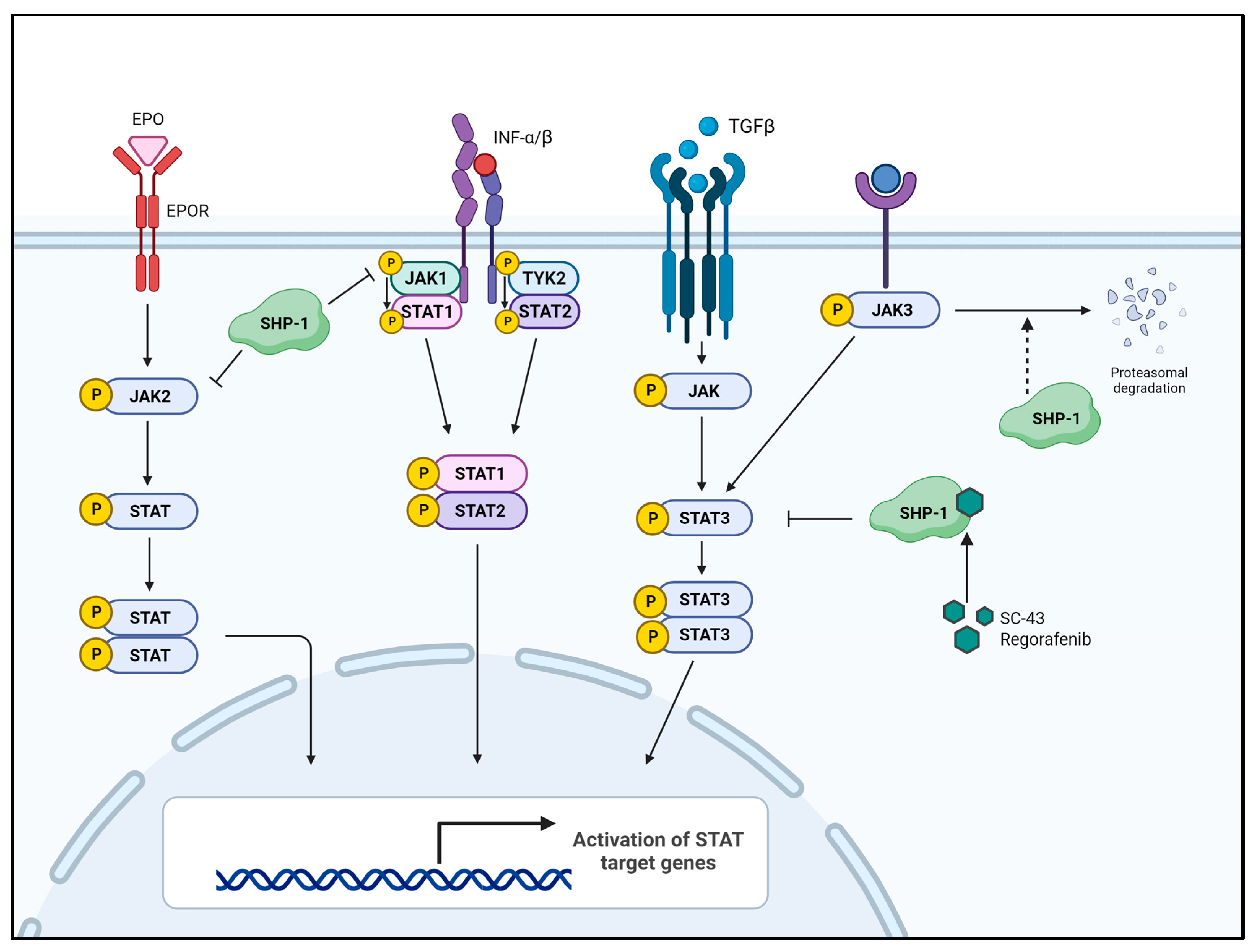 Ijms 25 00331 g003 Ijms 25 00331 g003