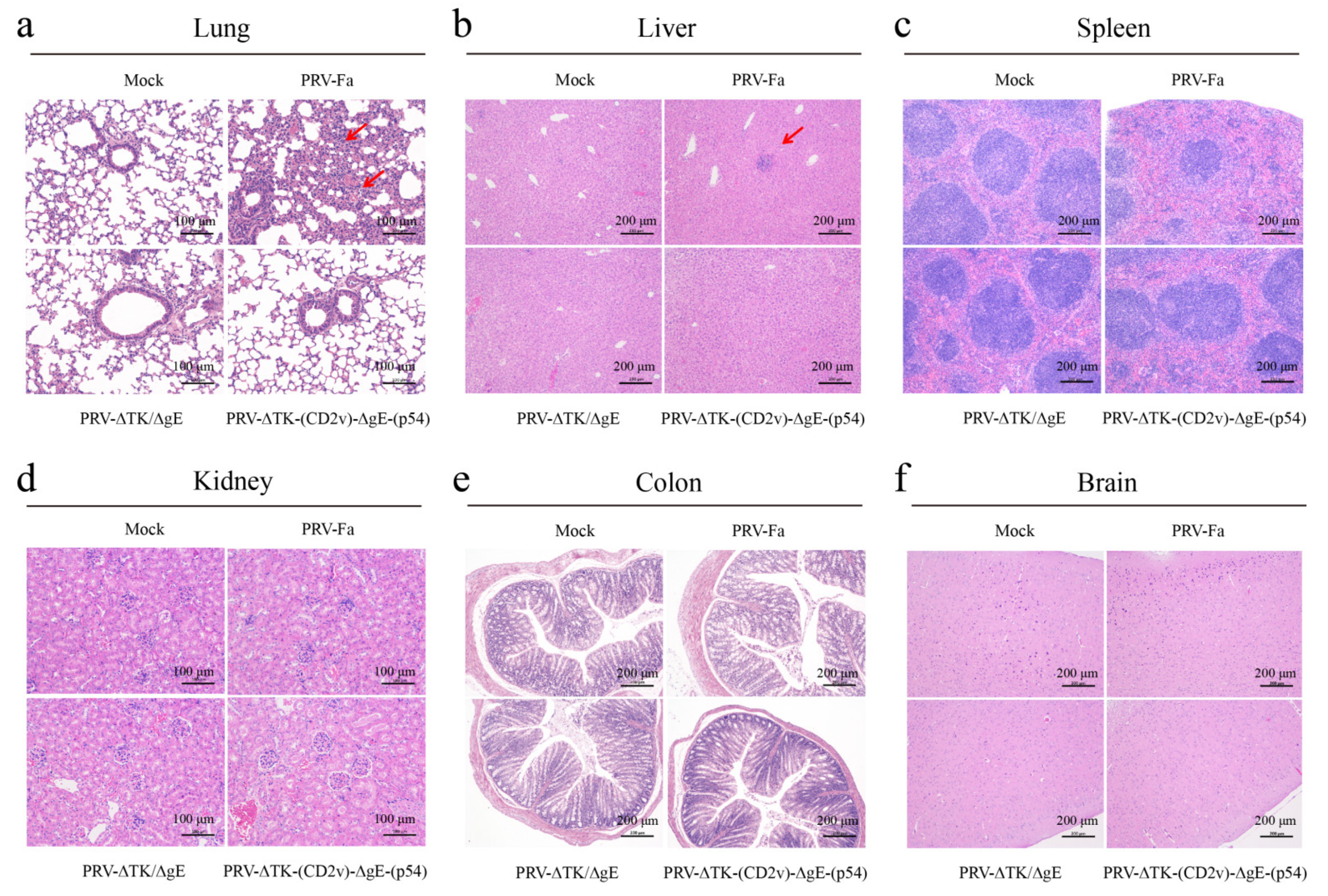 Ijms 25 00335 g003 Ijms 25 00335 g003