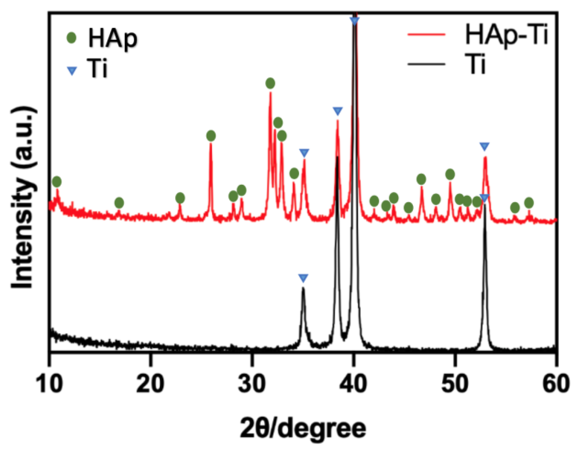 Ijms 25 00349 g004 Ijms 25 00349 g004