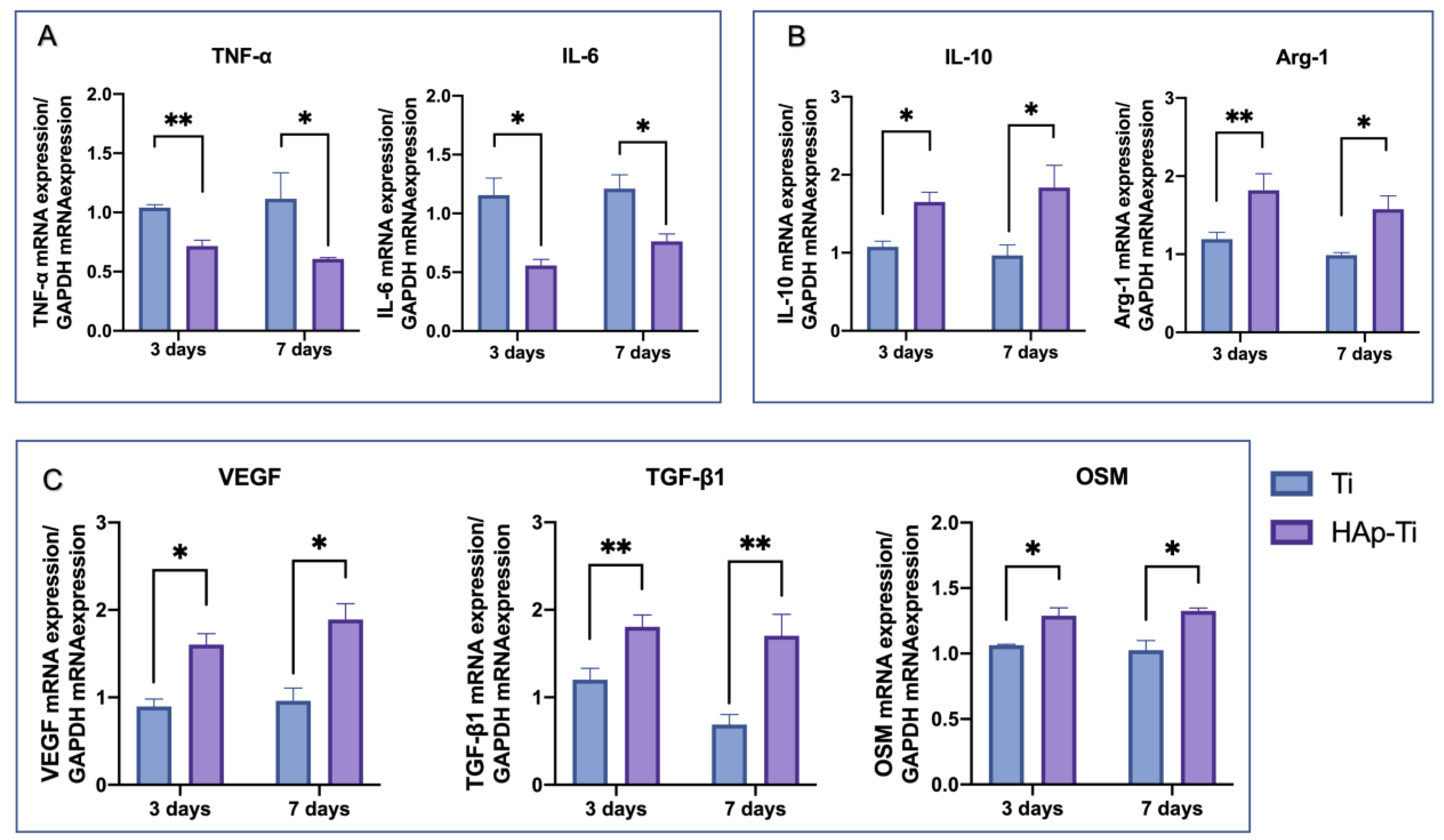 Ijms 25 00349 g007 Ijms 25 00349 g007