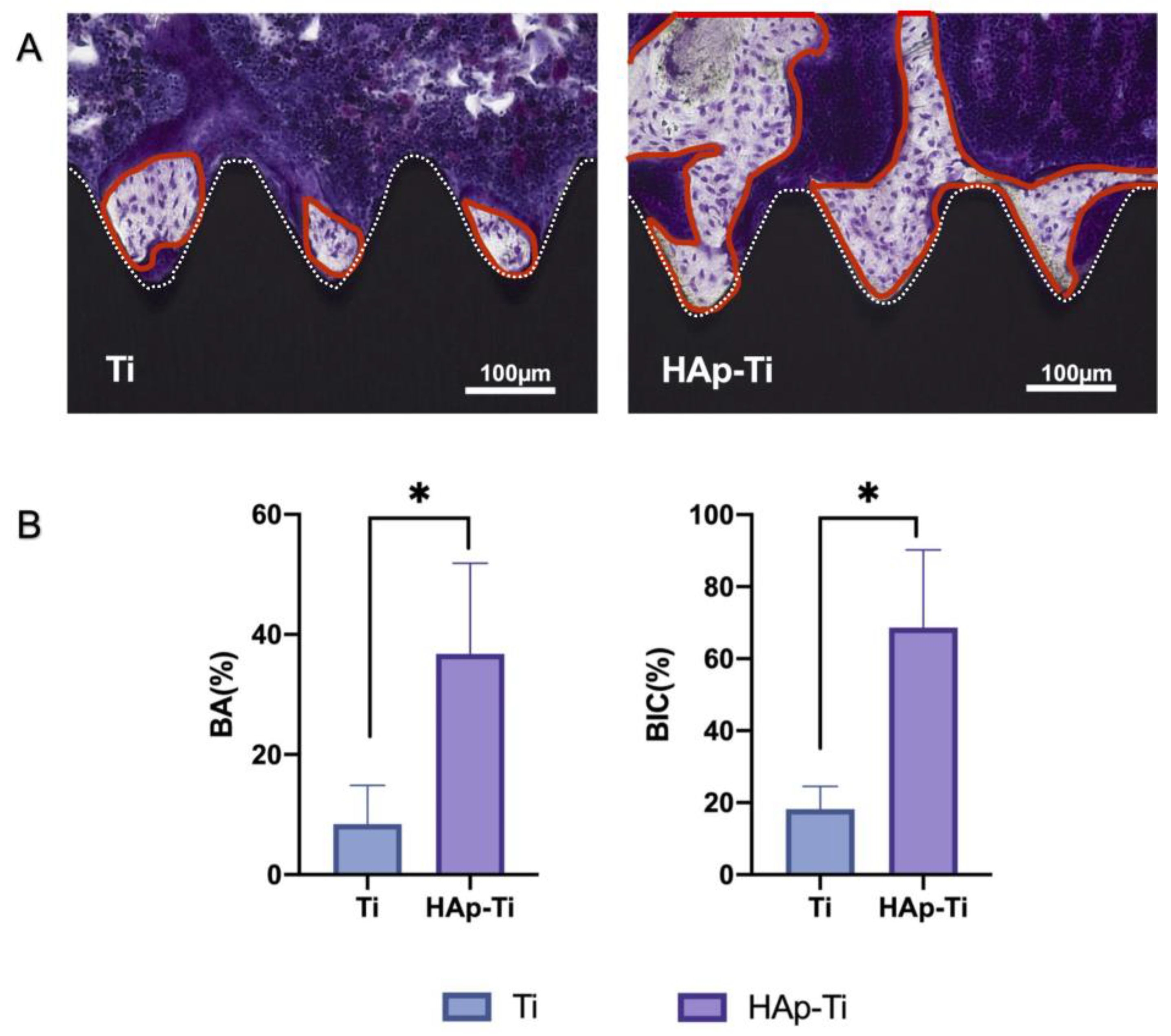 Ijms 25 00349 g012 Ijms 25 00349 g012
