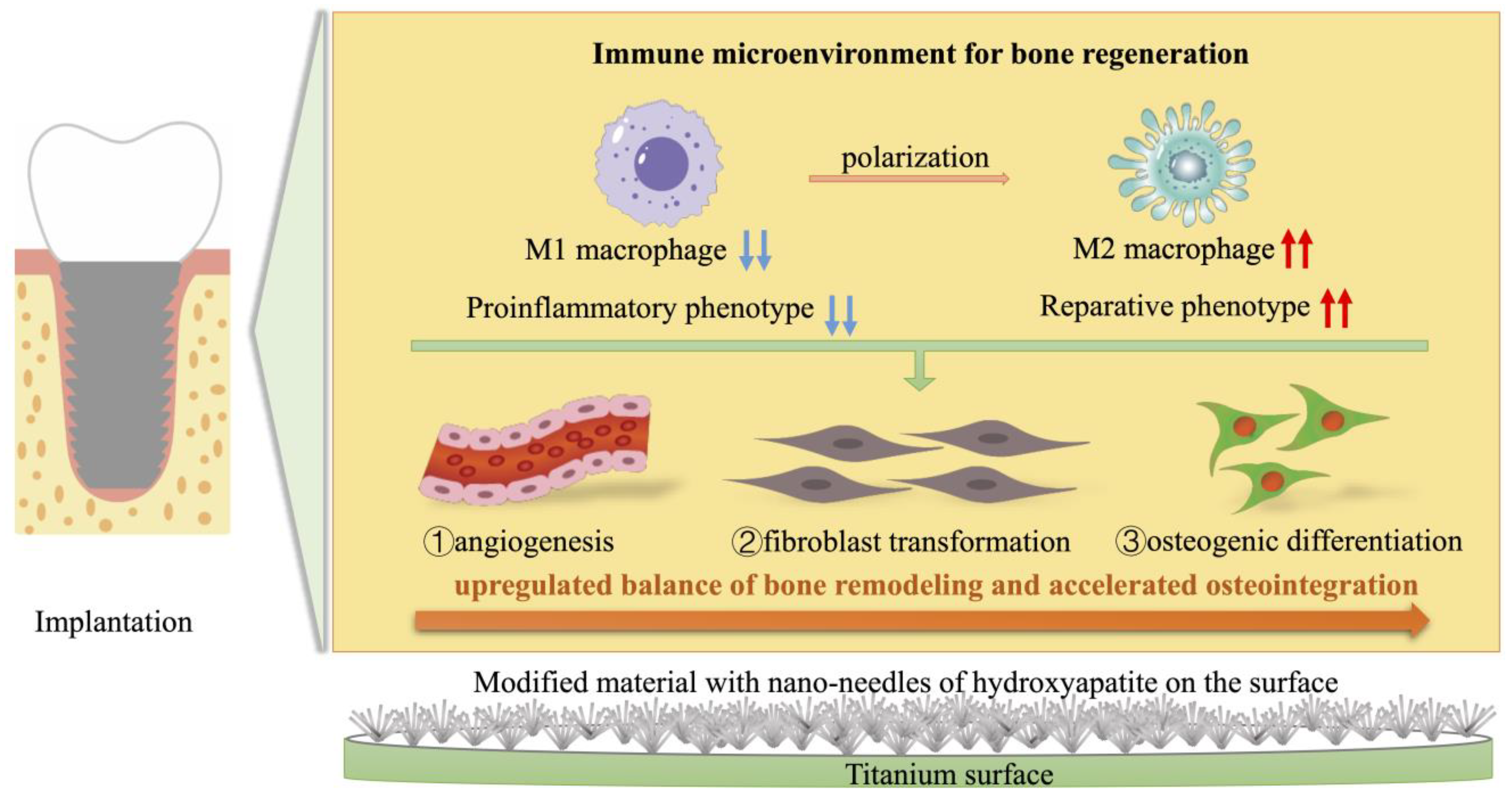 Ijms 25 00349 g013 Ijms 25 00349 g013
