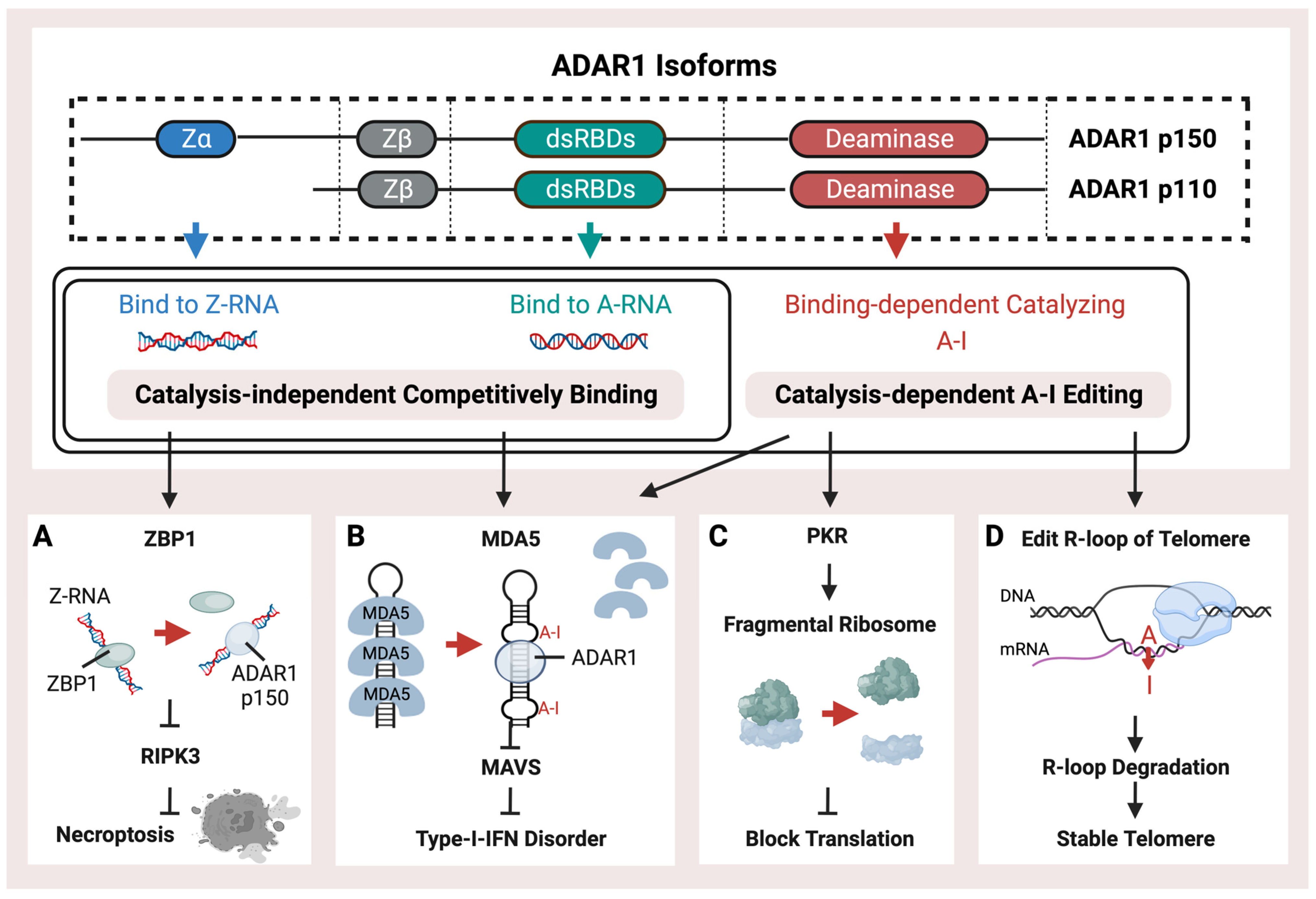 Ijms 25 00351 g001 Ijms 25 00351 g001