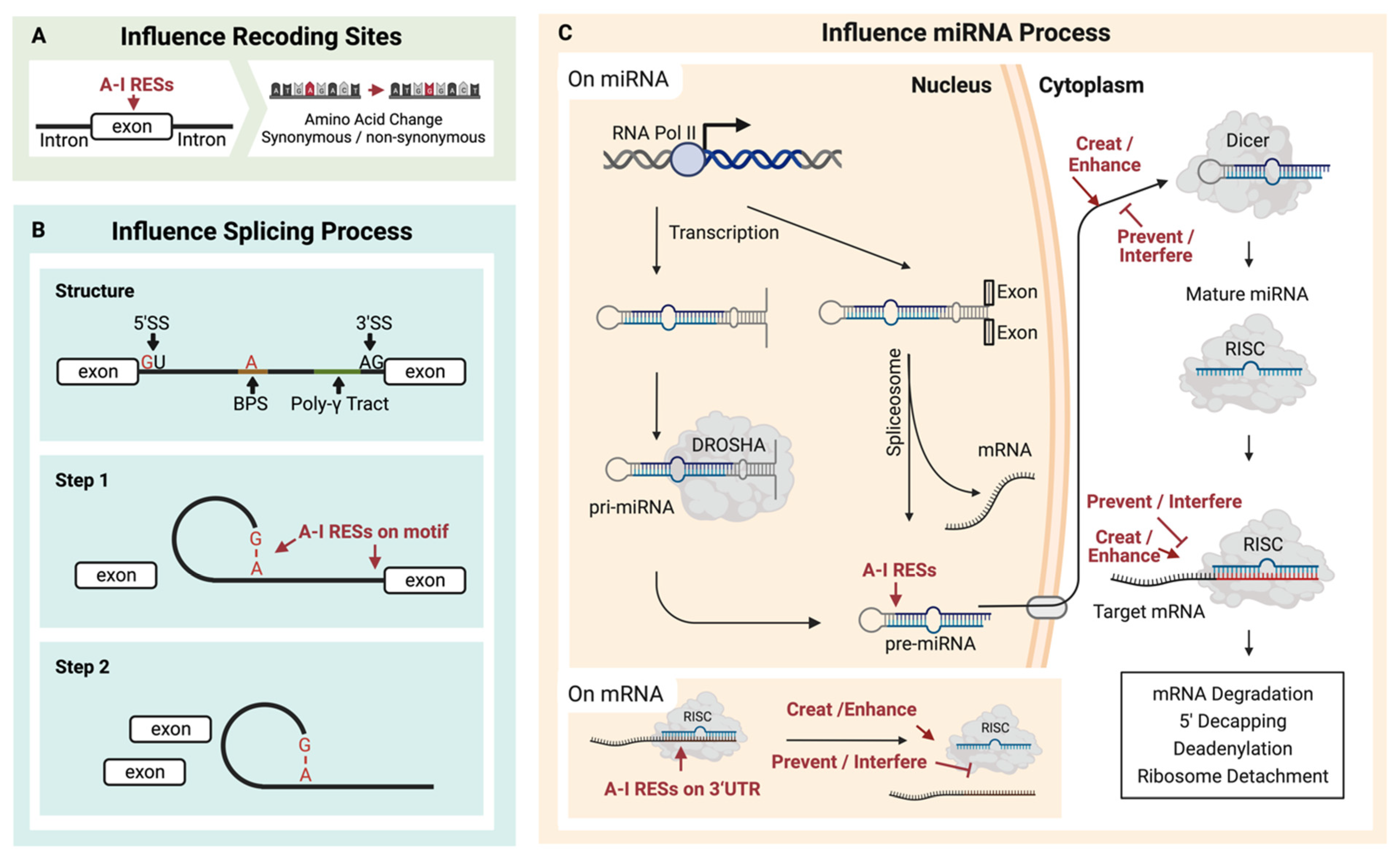 Ijms 25 00351 g002 Ijms 25 00351 g002