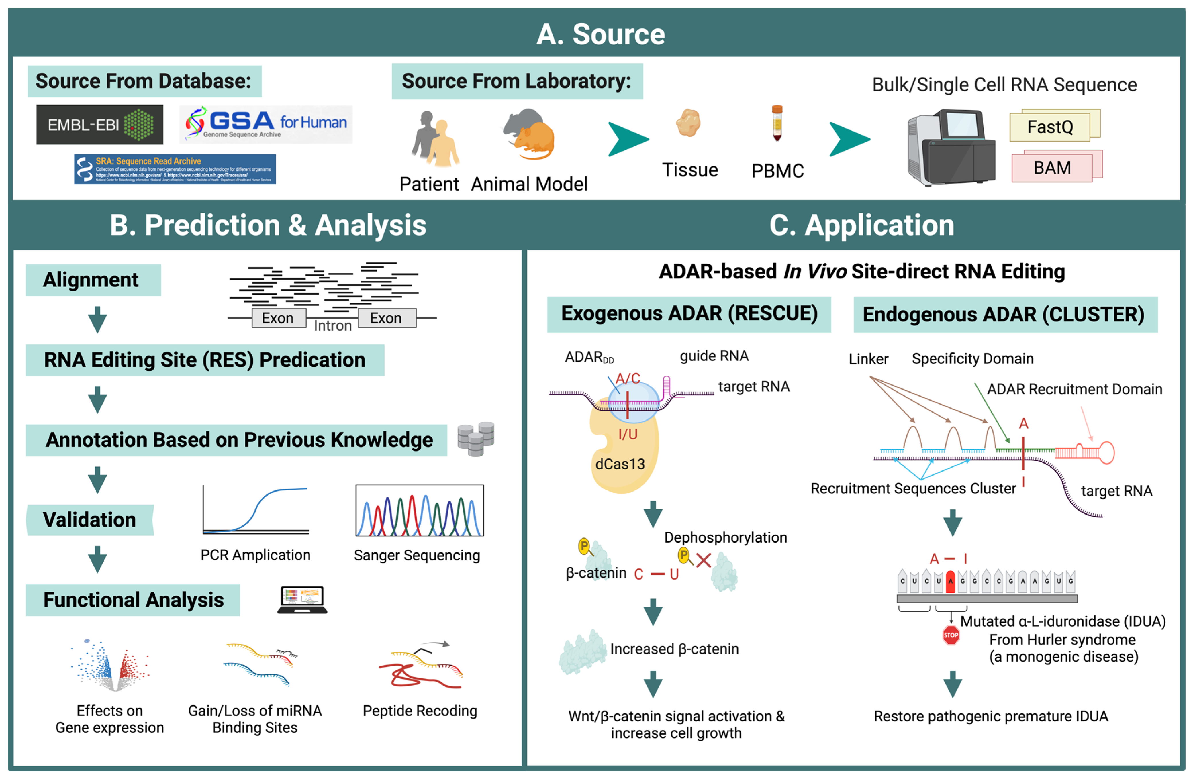 Ijms 25 00351 g004 Ijms 25 00351 g004