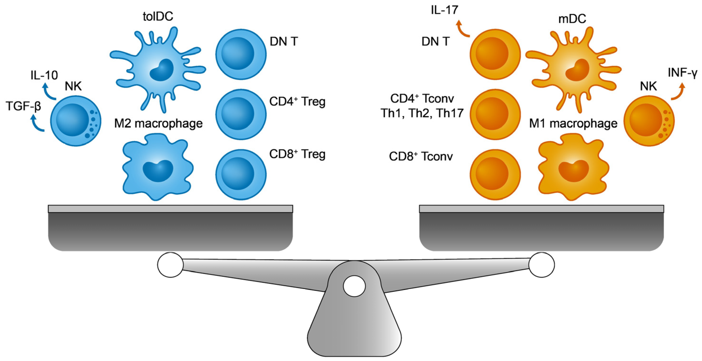 Ijms 25 00452 g001 Ijms 25 00452 g001