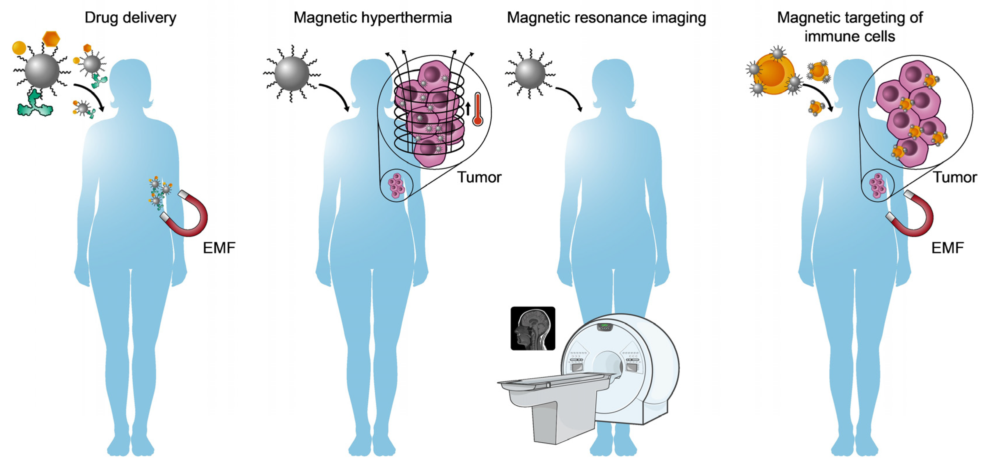 Ijms 25 00452 g006 Ijms 25 00452 g006