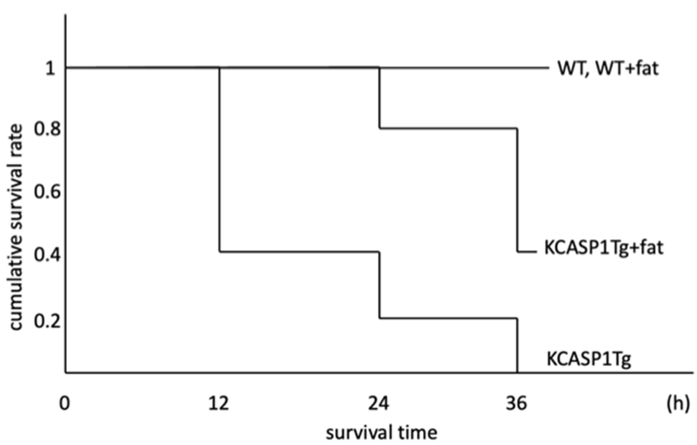 Ijms 25 00478 g001 Ijms 25 00478 g001