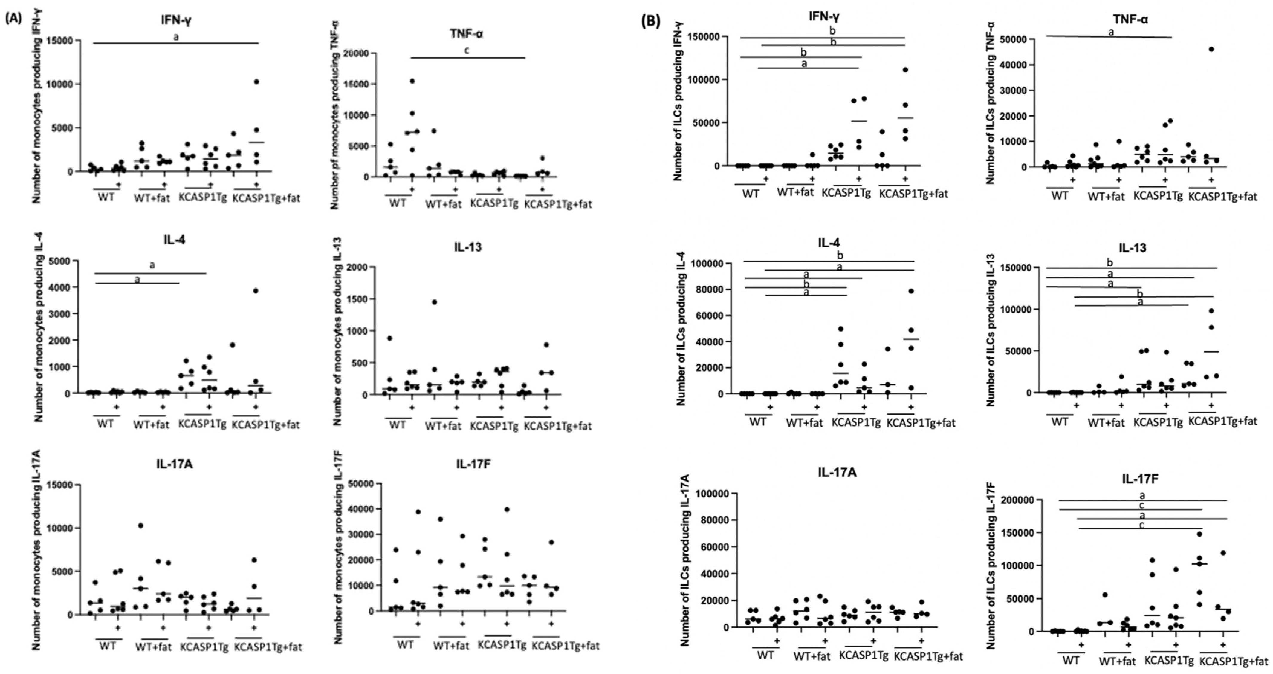 Ijms 25 00478 g002 Ijms 25 00478 g002