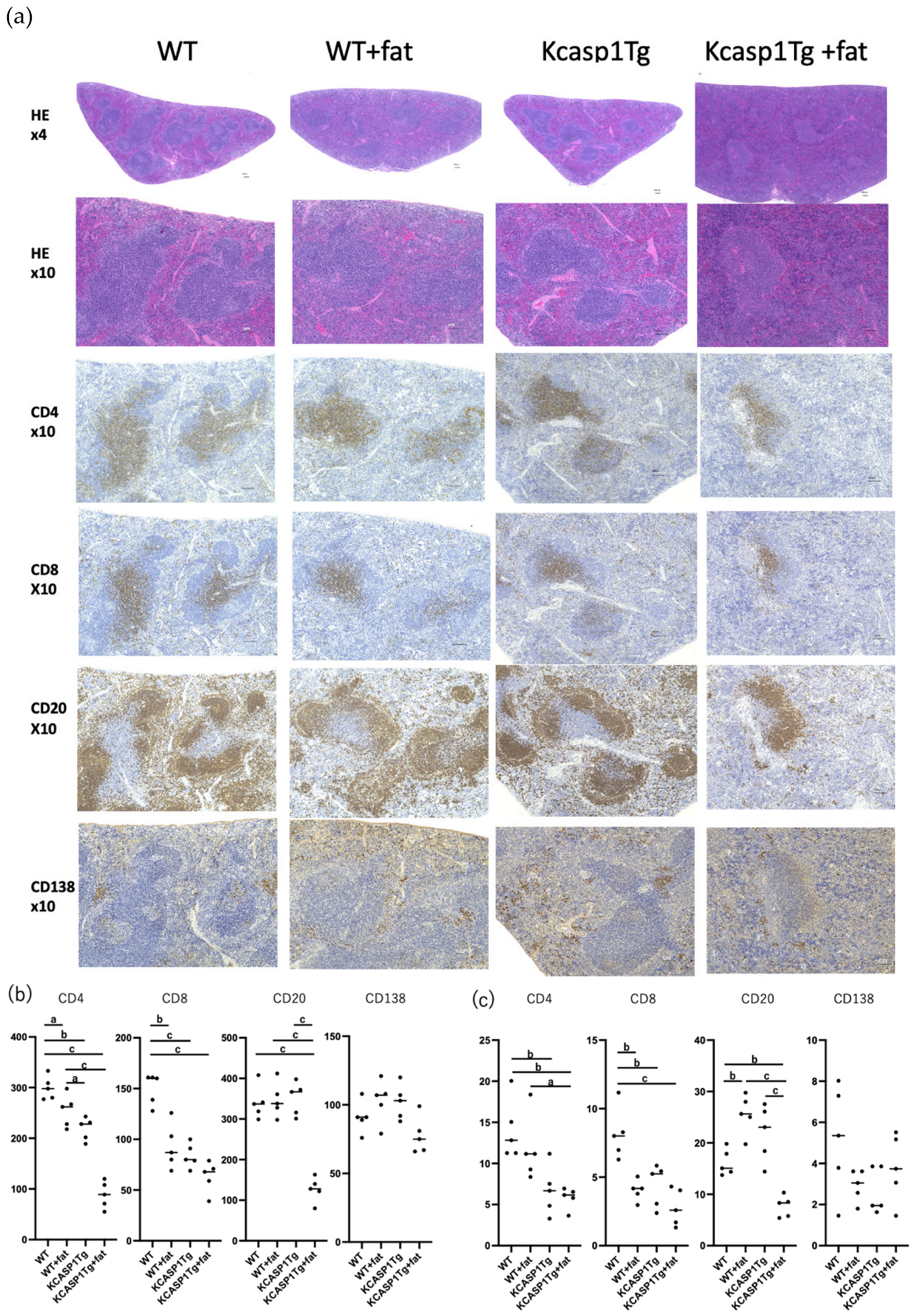 Ijms 25 00478 g005 Ijms 25 00478 g005