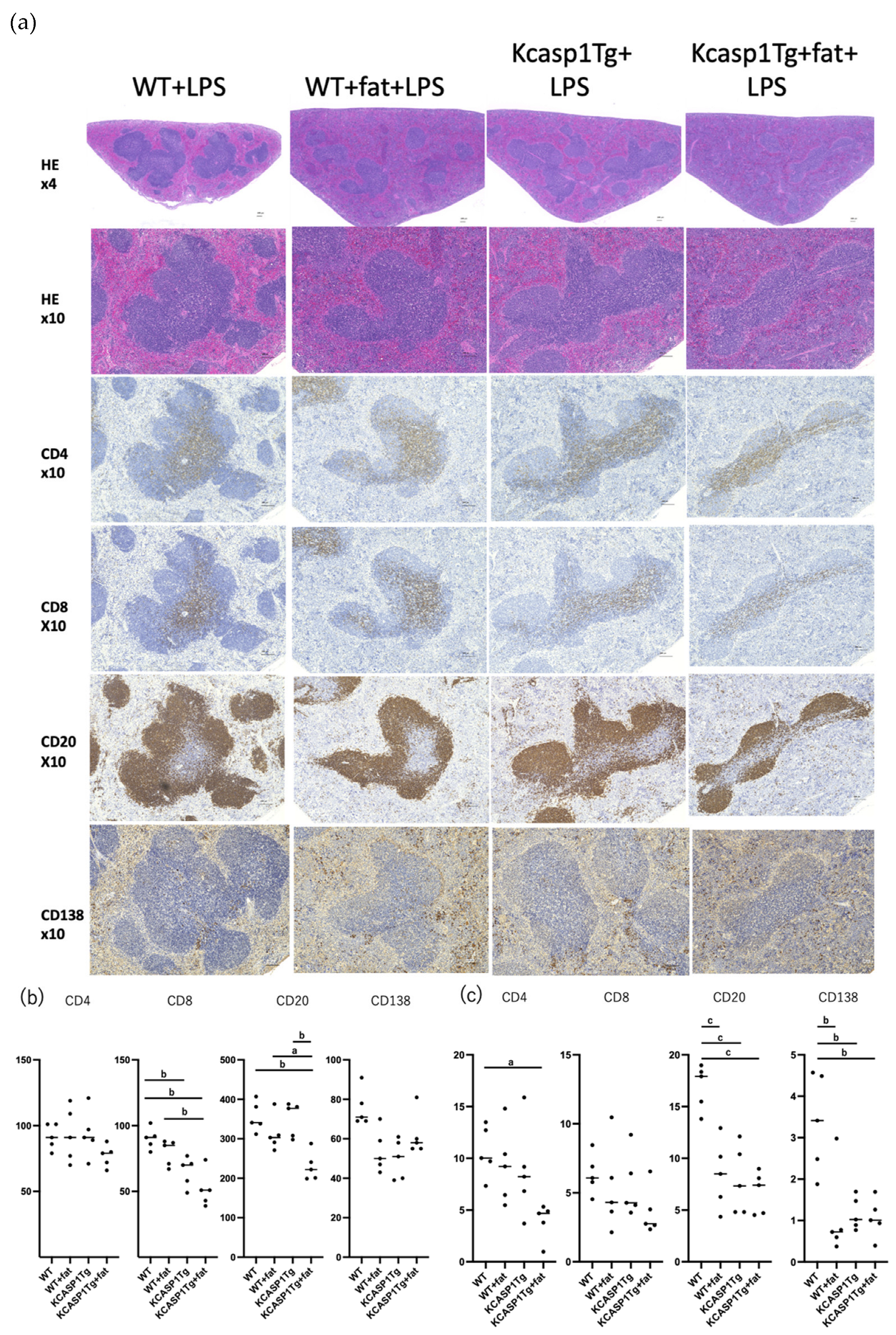 Ijms 25 00478 g006 Ijms 25 00478 g006