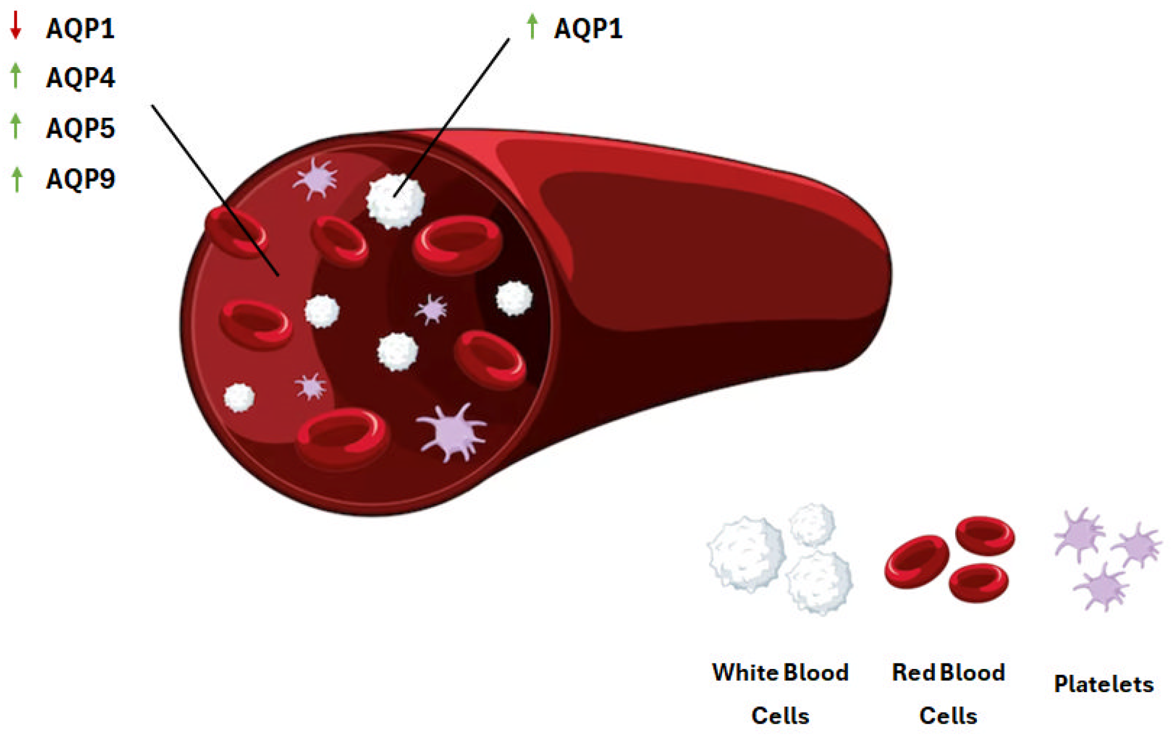 Ijms 25 00487 g002 Ijms 25 00487 g002