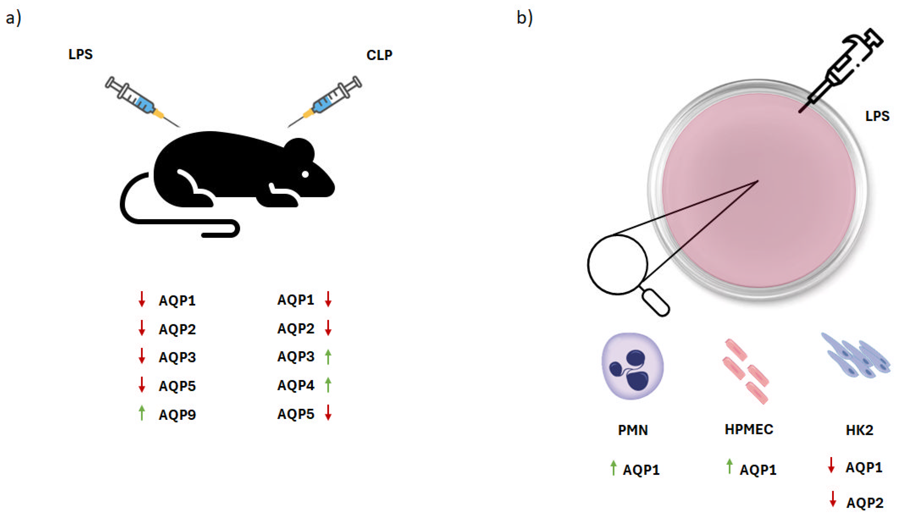 Ijms 25 00487 g003 Ijms 25 00487 g003