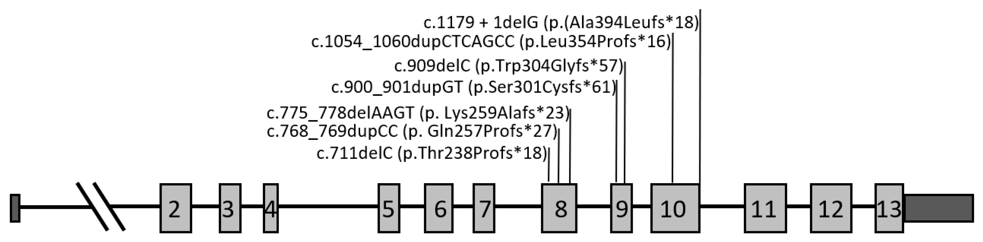 Ijms 25 00511 g001 Ijms 25 00511 g001