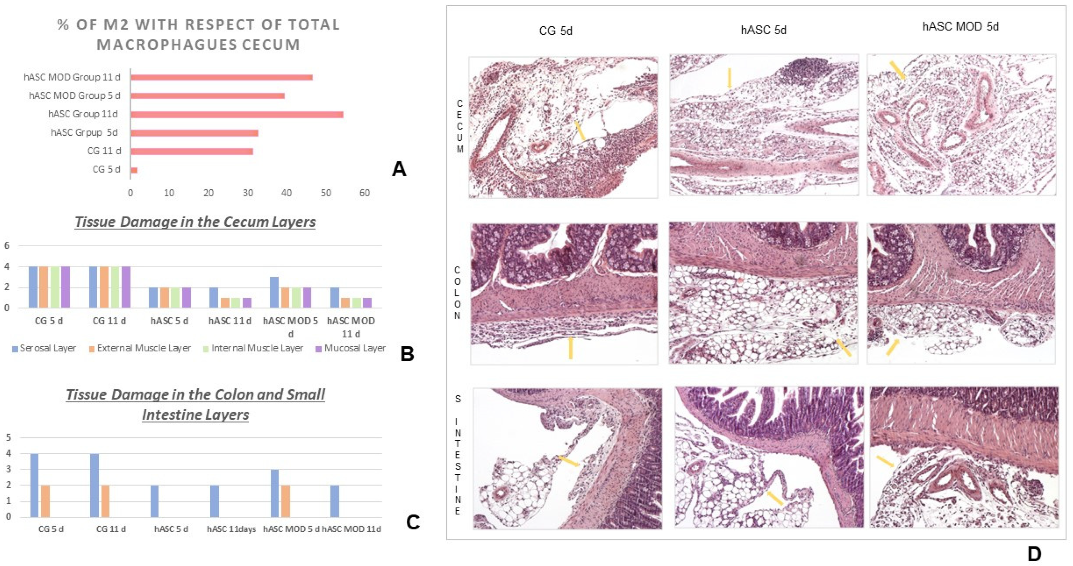 Ijms 25 00520 g002 Ijms 25 00520 g002