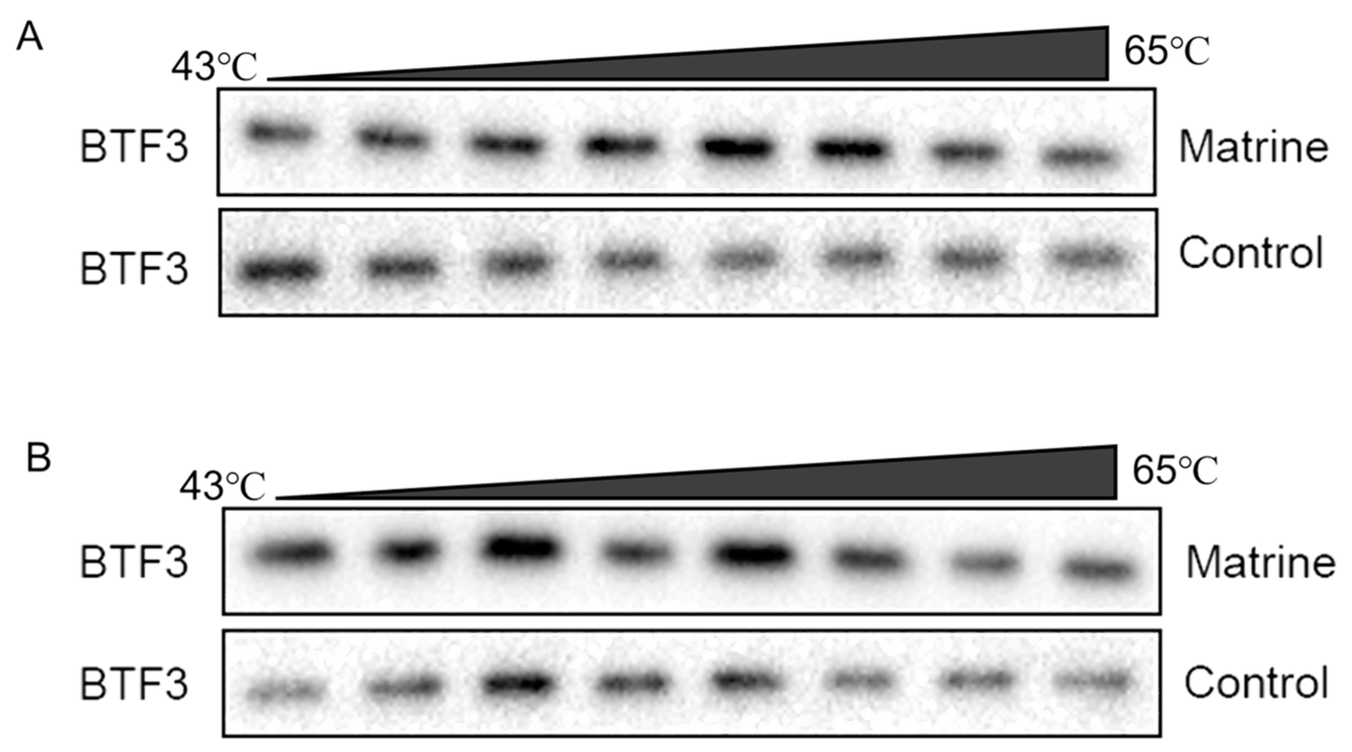 Ijms 25 00540 g009