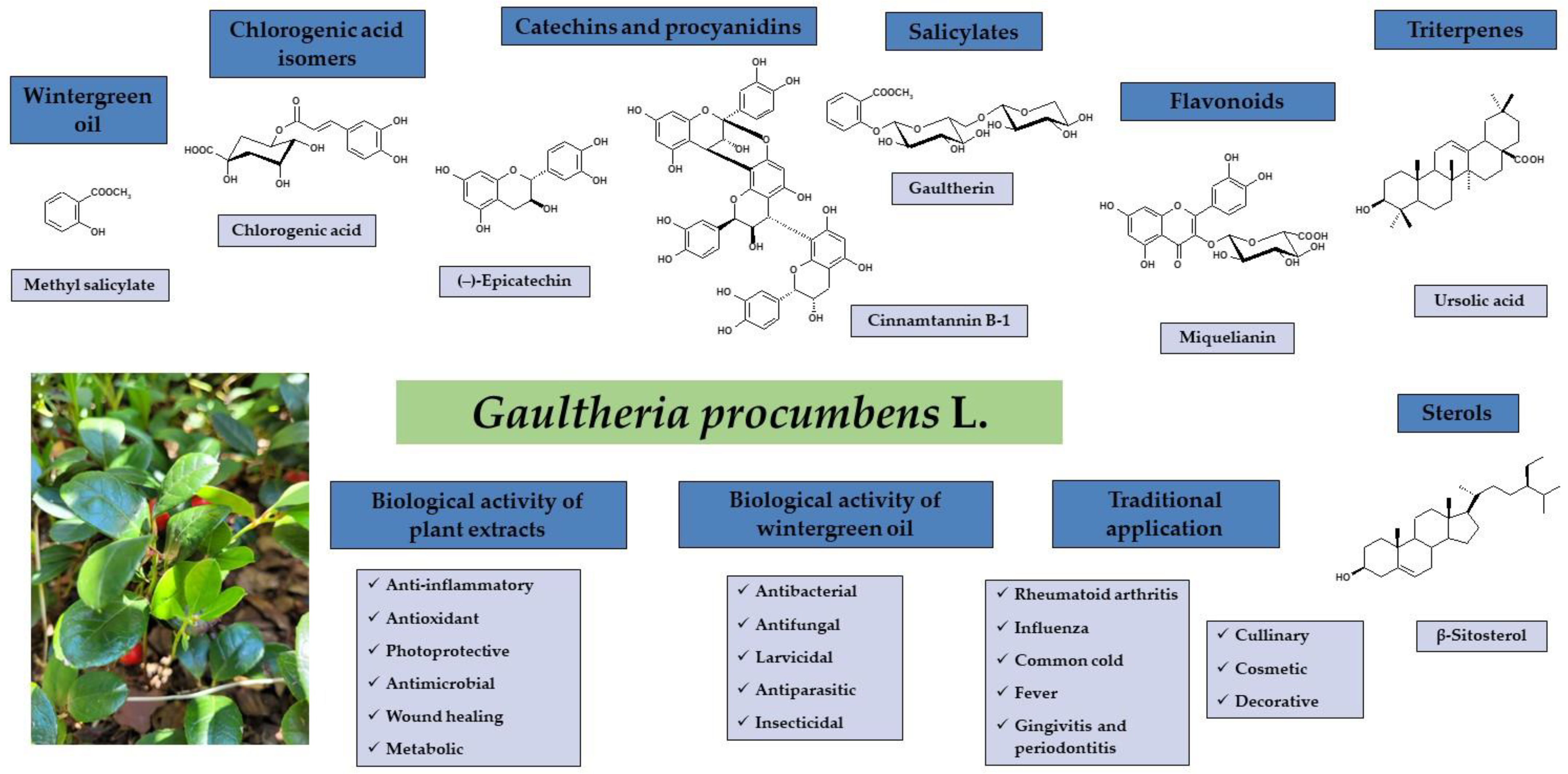 Ijms 25 00565 g001 Ijms 25 00565 g001