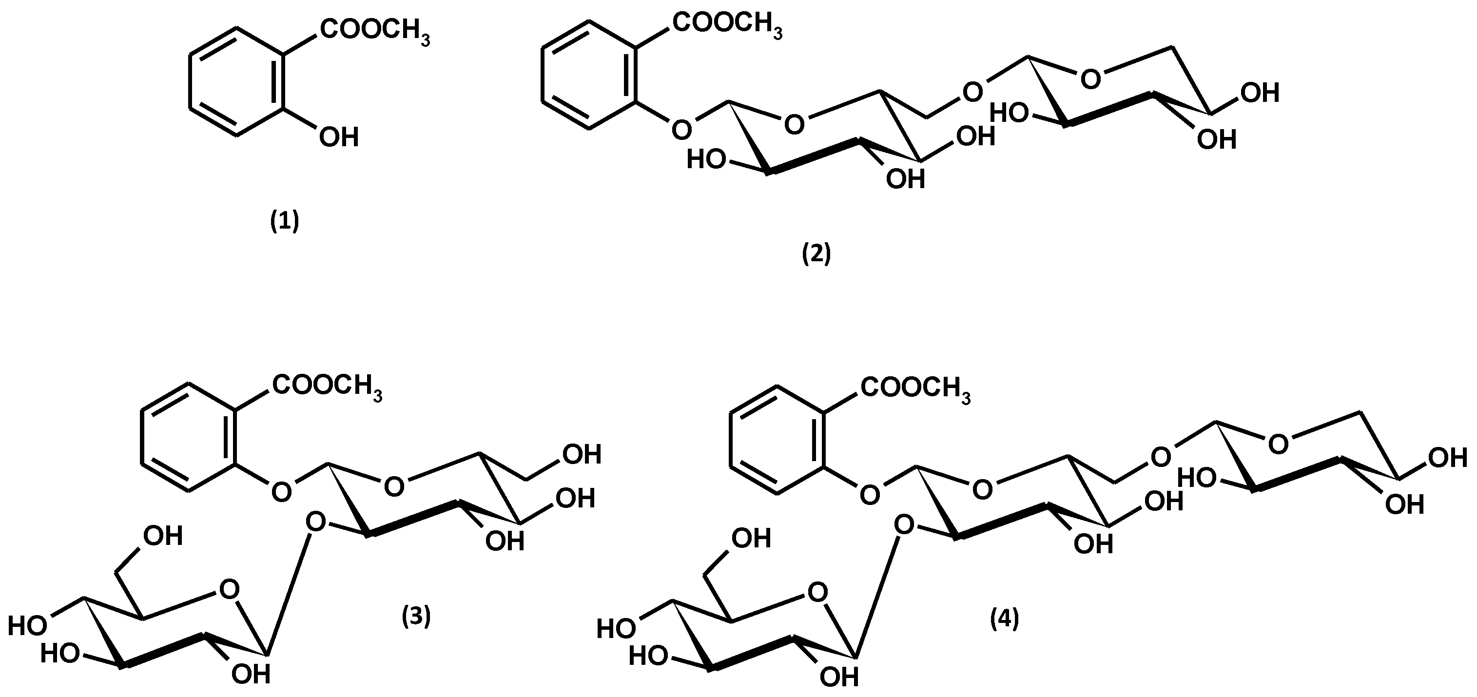 Ijms 25 00565 g005 Ijms 25 00565 g005