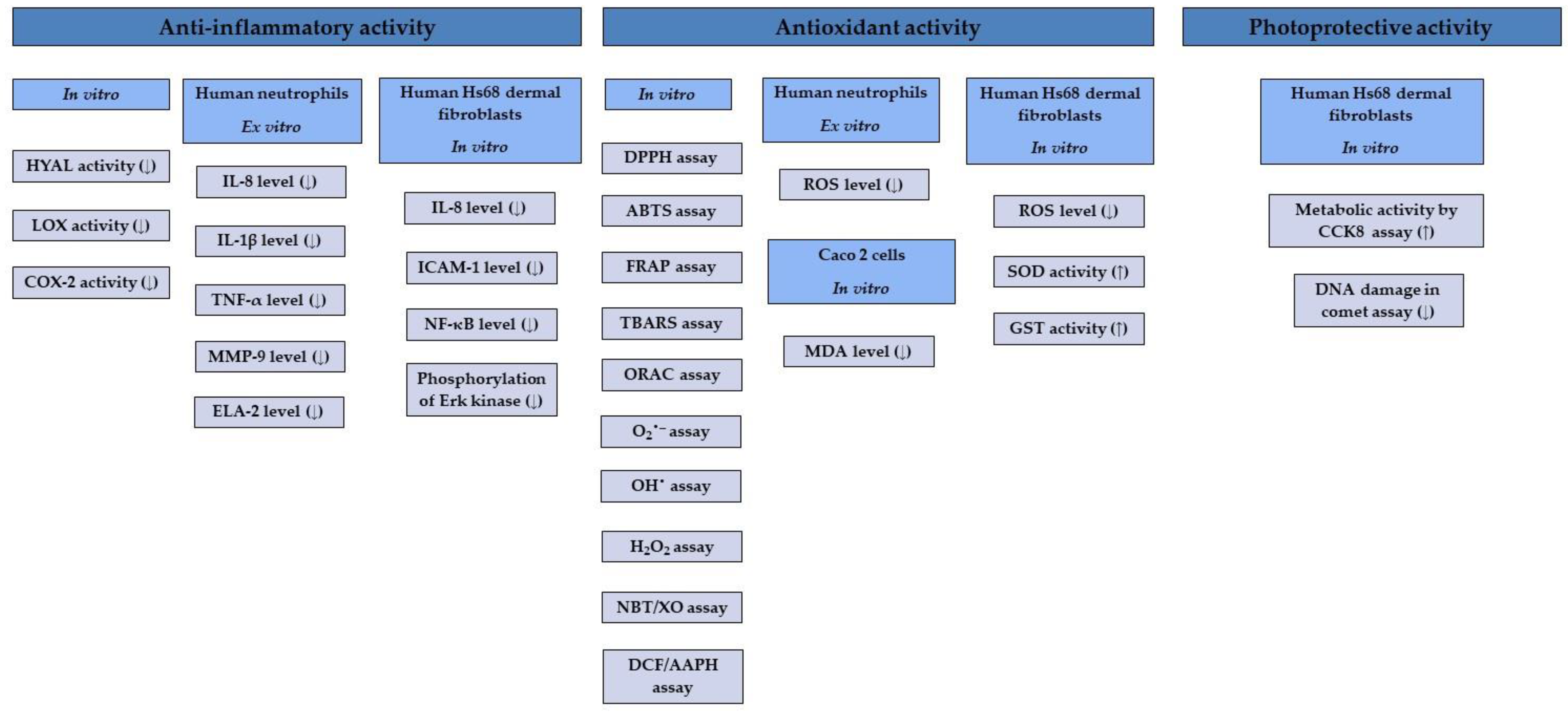 Ijms 25 00565 g011 Ijms 25 00565 g011