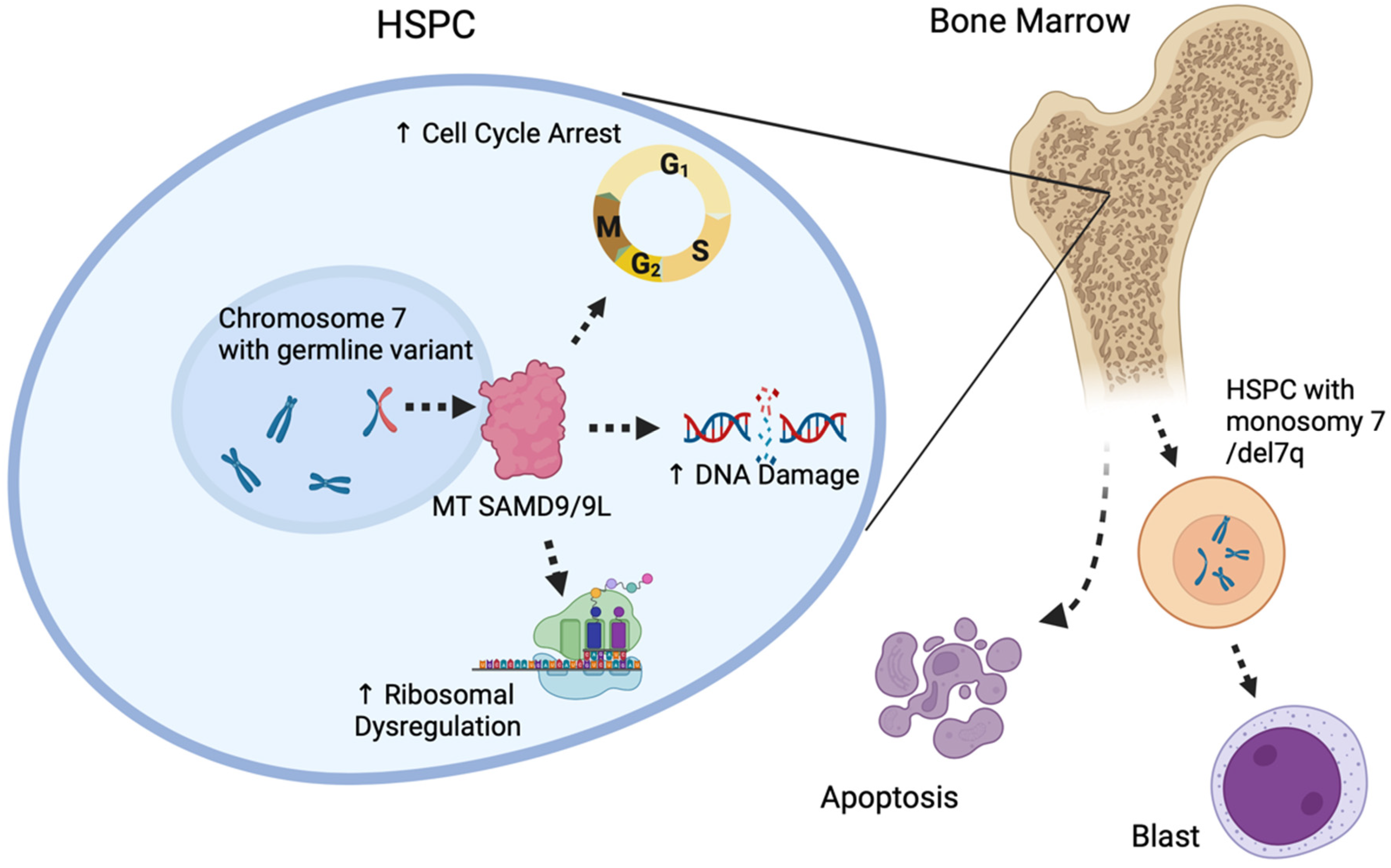 Ijms 25 00652 g003 Ijms 25 00652 g003