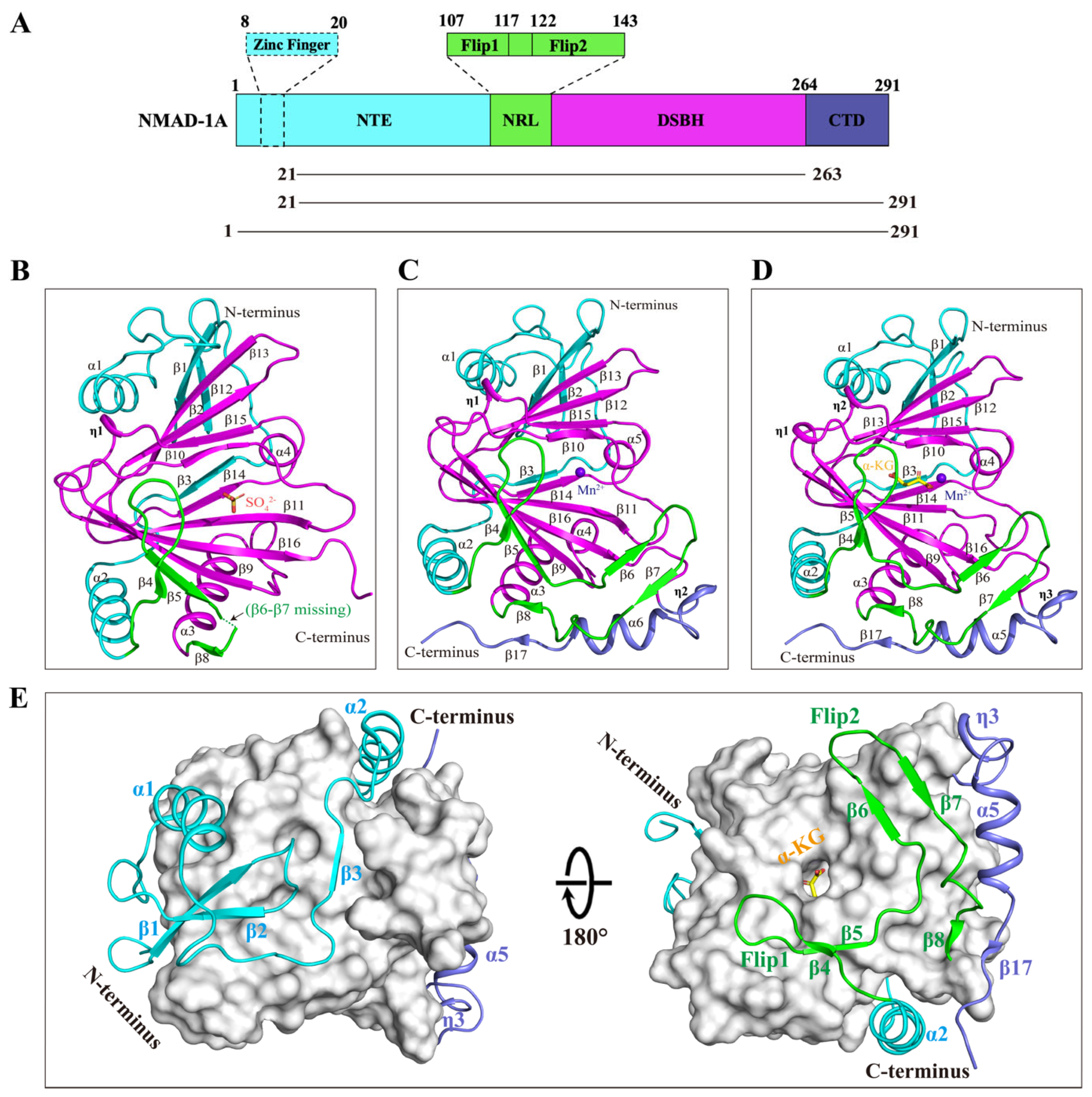Ijms 25 00686 g003 Ijms 25 00686 g003