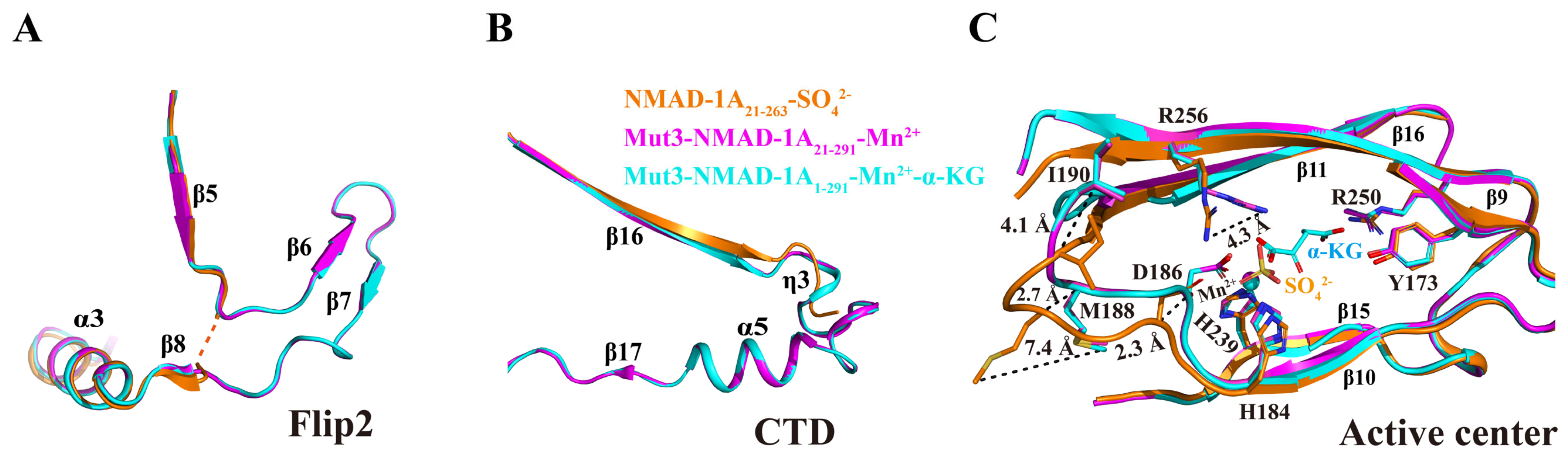 Ijms 25 00686 g004 Ijms 25 00686 g004