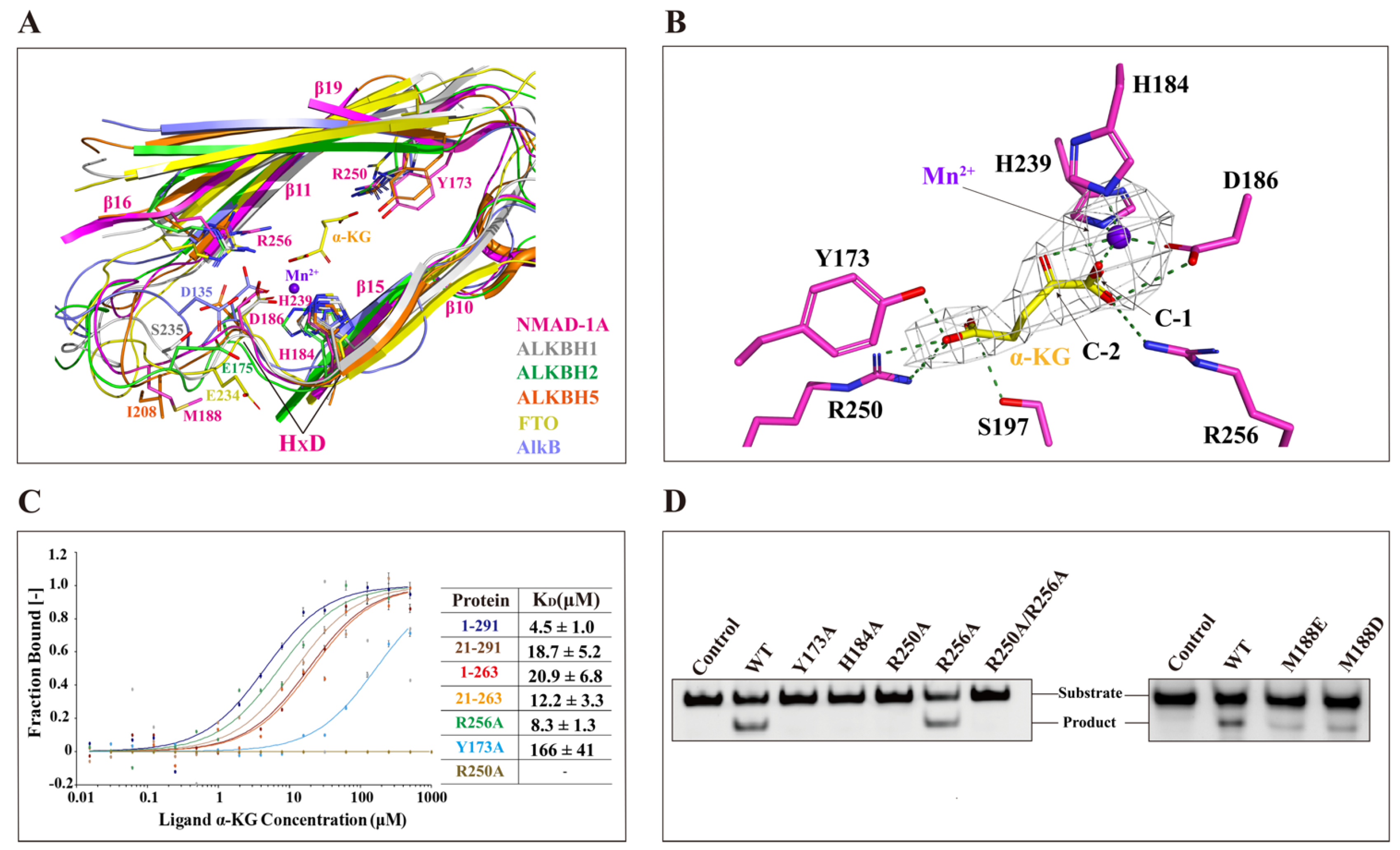 Ijms 25 00686 g005 Ijms 25 00686 g005
