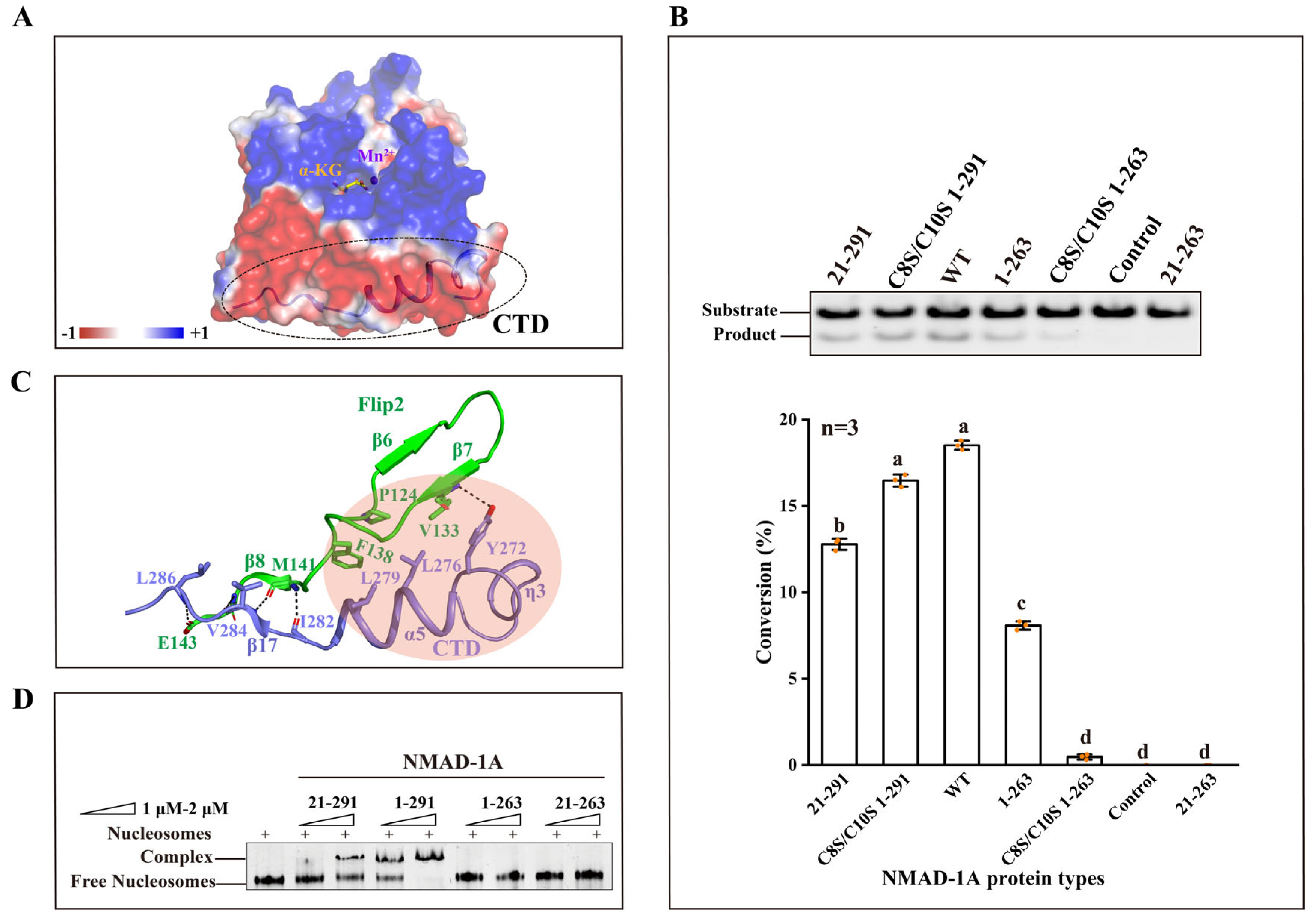 Ijms 25 00686 g006 Ijms 25 00686 g006