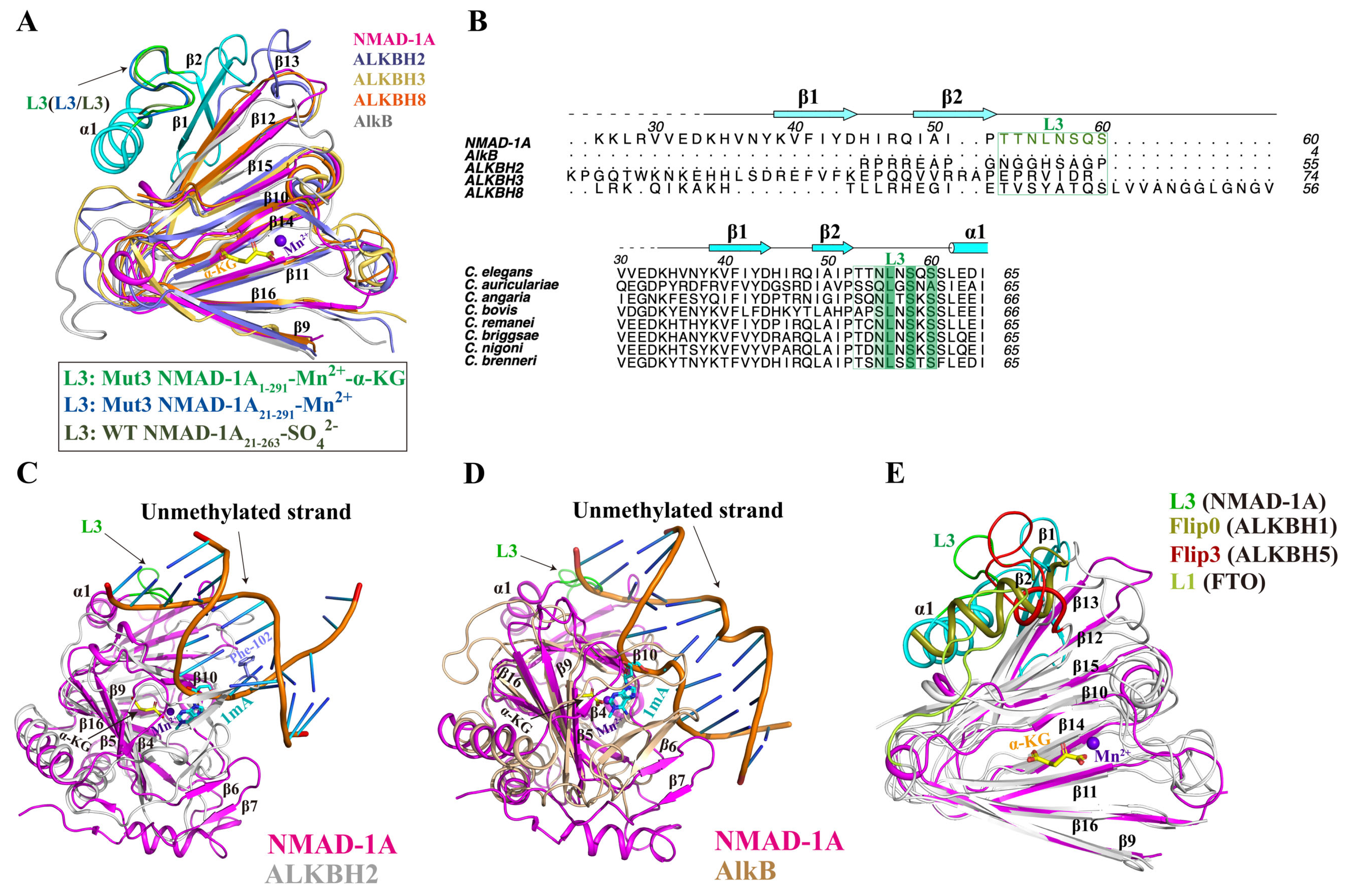 Ijms 25 00686 g007 Ijms 25 00686 g007
