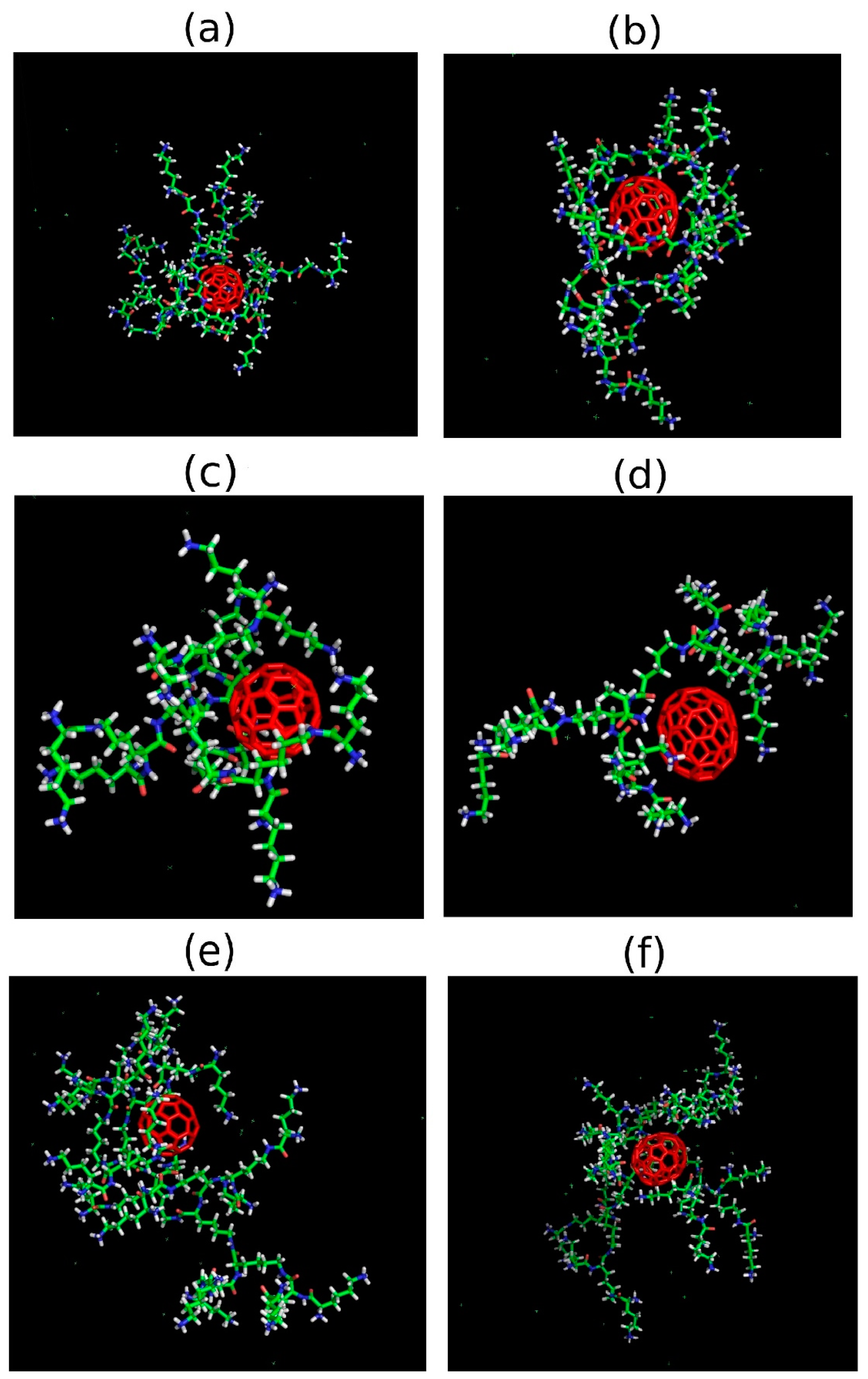 Ijms 25 00691 g003 Ijms 25 00691 g003