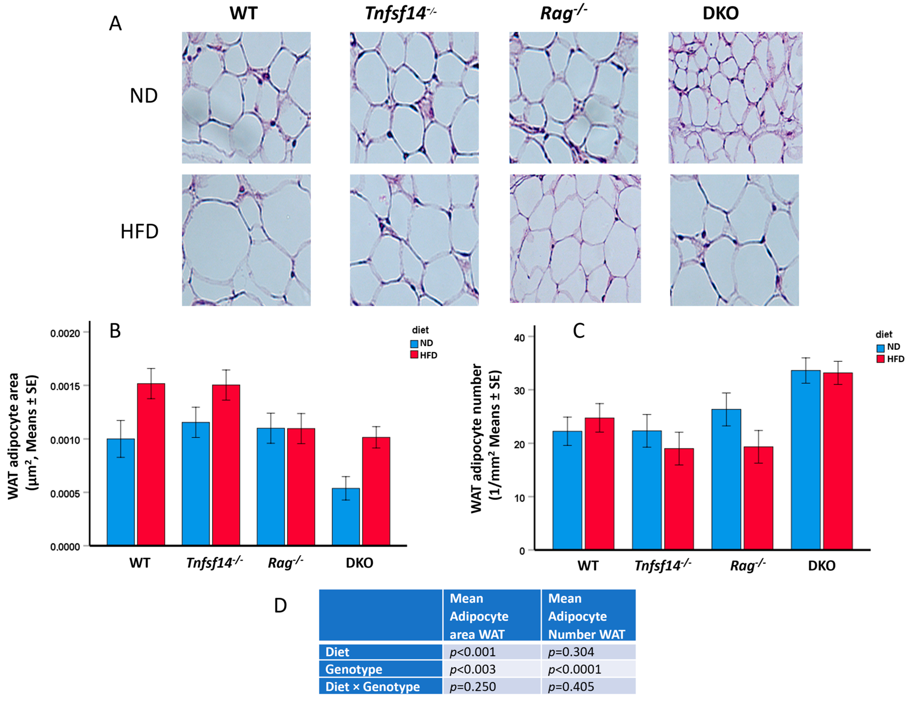 Ijms 25 00716 g005 Ijms 25 00716 g005