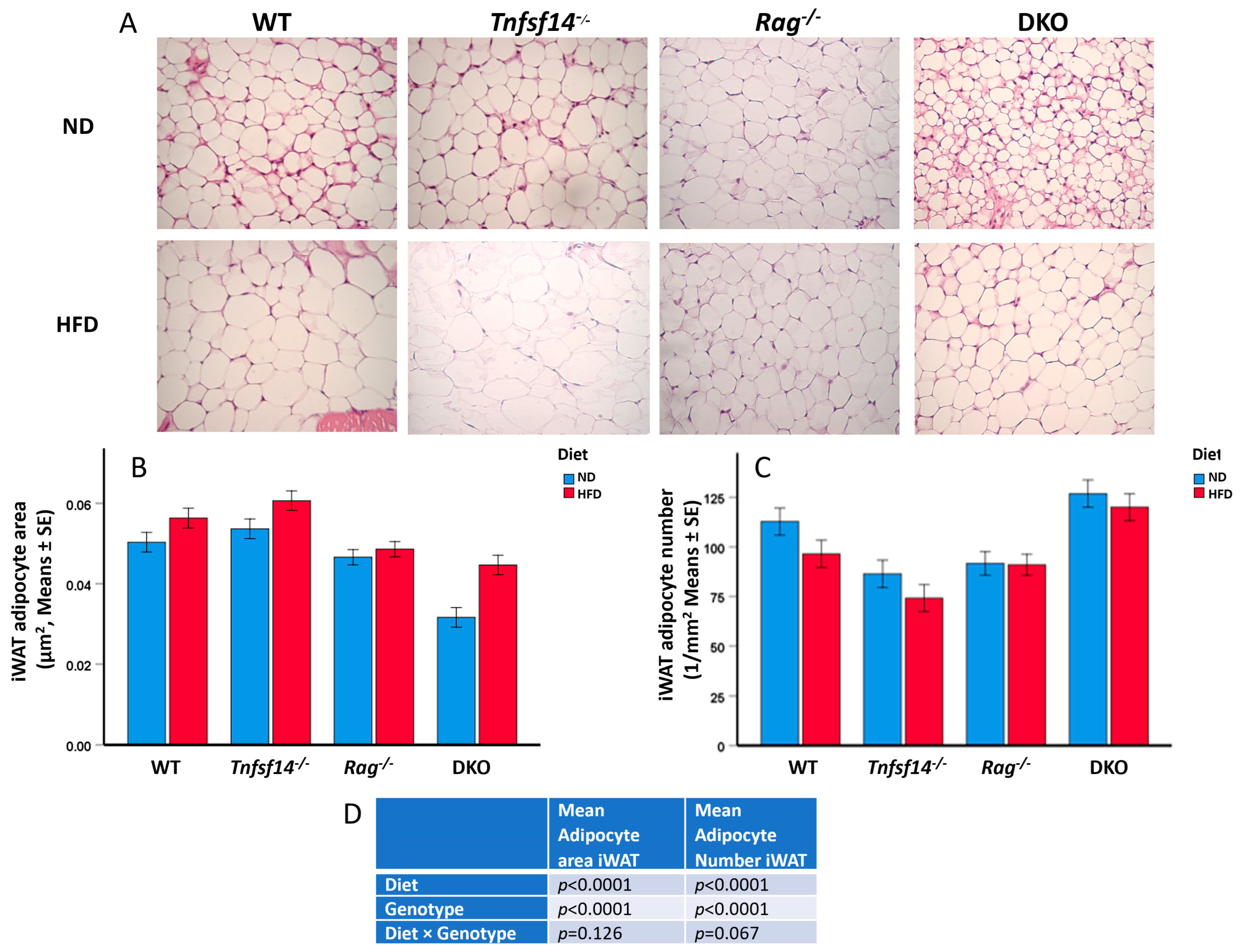 Ijms 25 00716 g006 Ijms 25 00716 g006