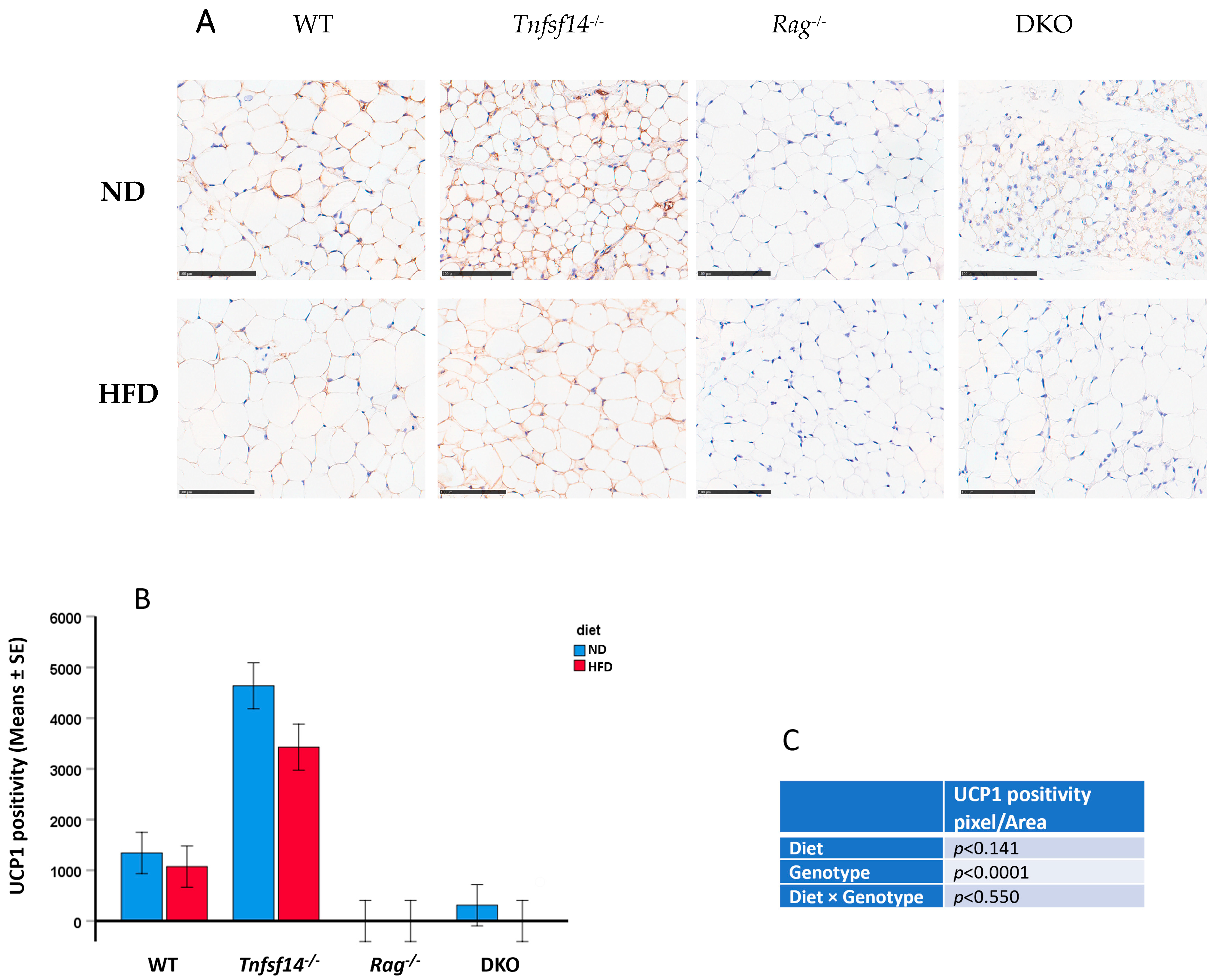 Ijms 25 00716 g007 Ijms 25 00716 g007