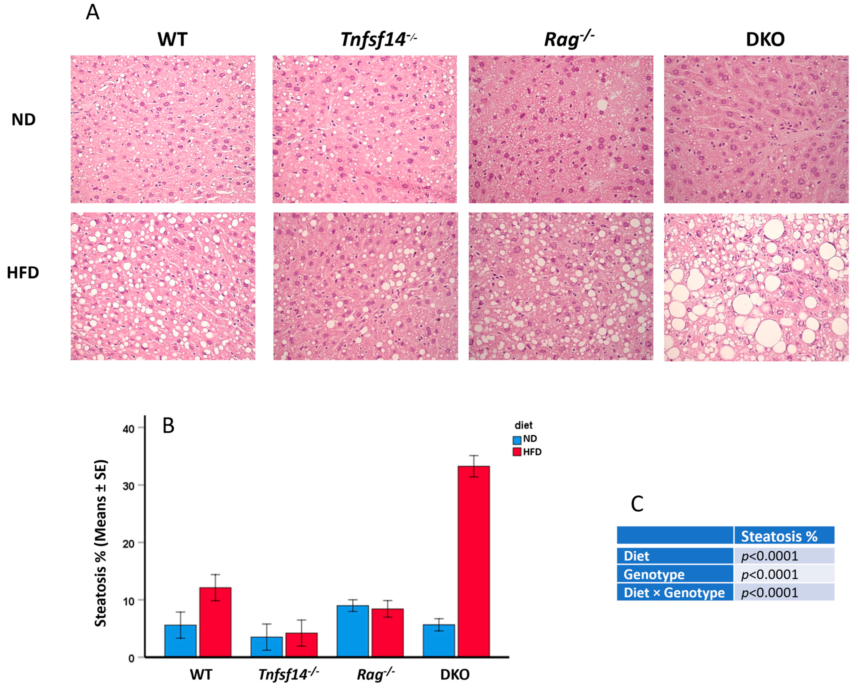 Ijms 25 00716 g008 Ijms 25 00716 g008