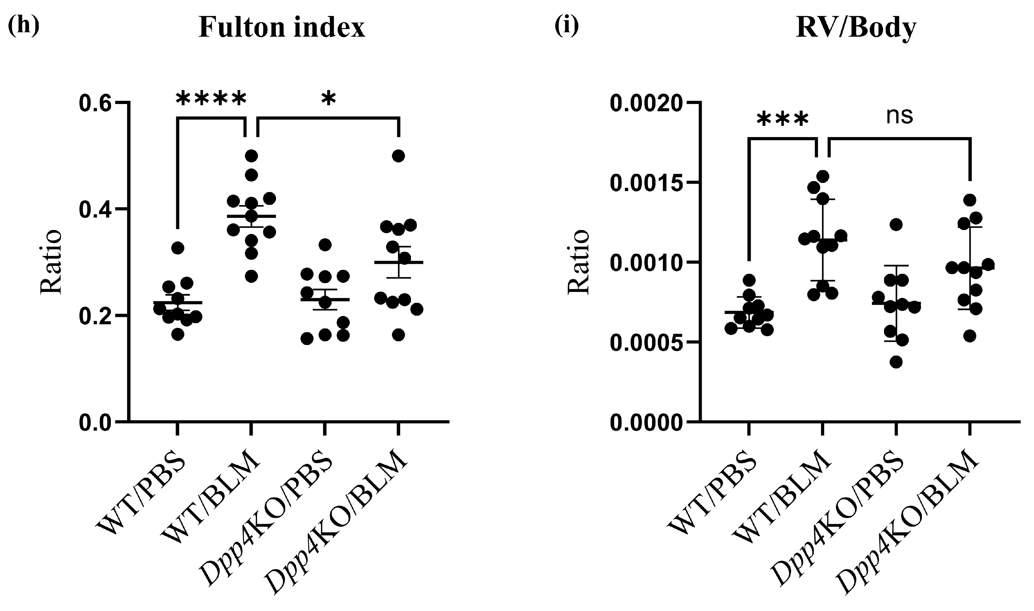 Ijms 25 00748 g001c Ijms 25 00748 g001c