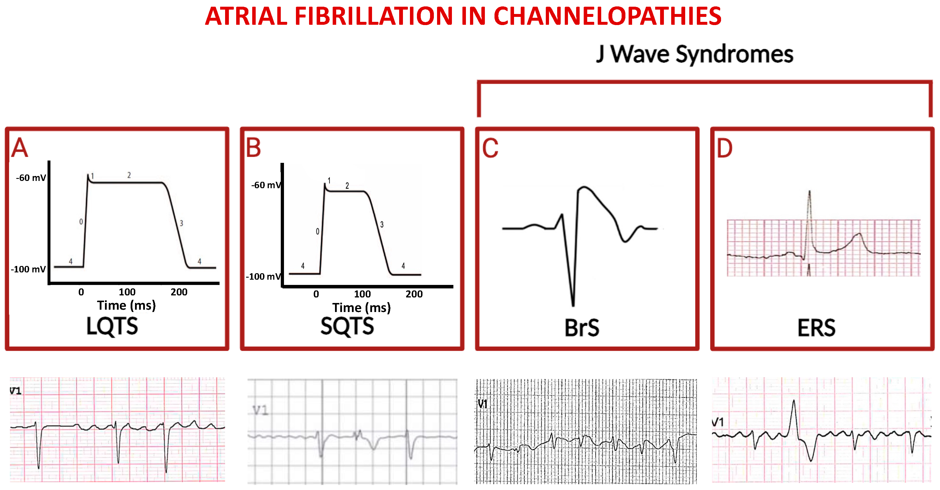 Ijms 25 00758 g002 Ijms 25 00758 g002