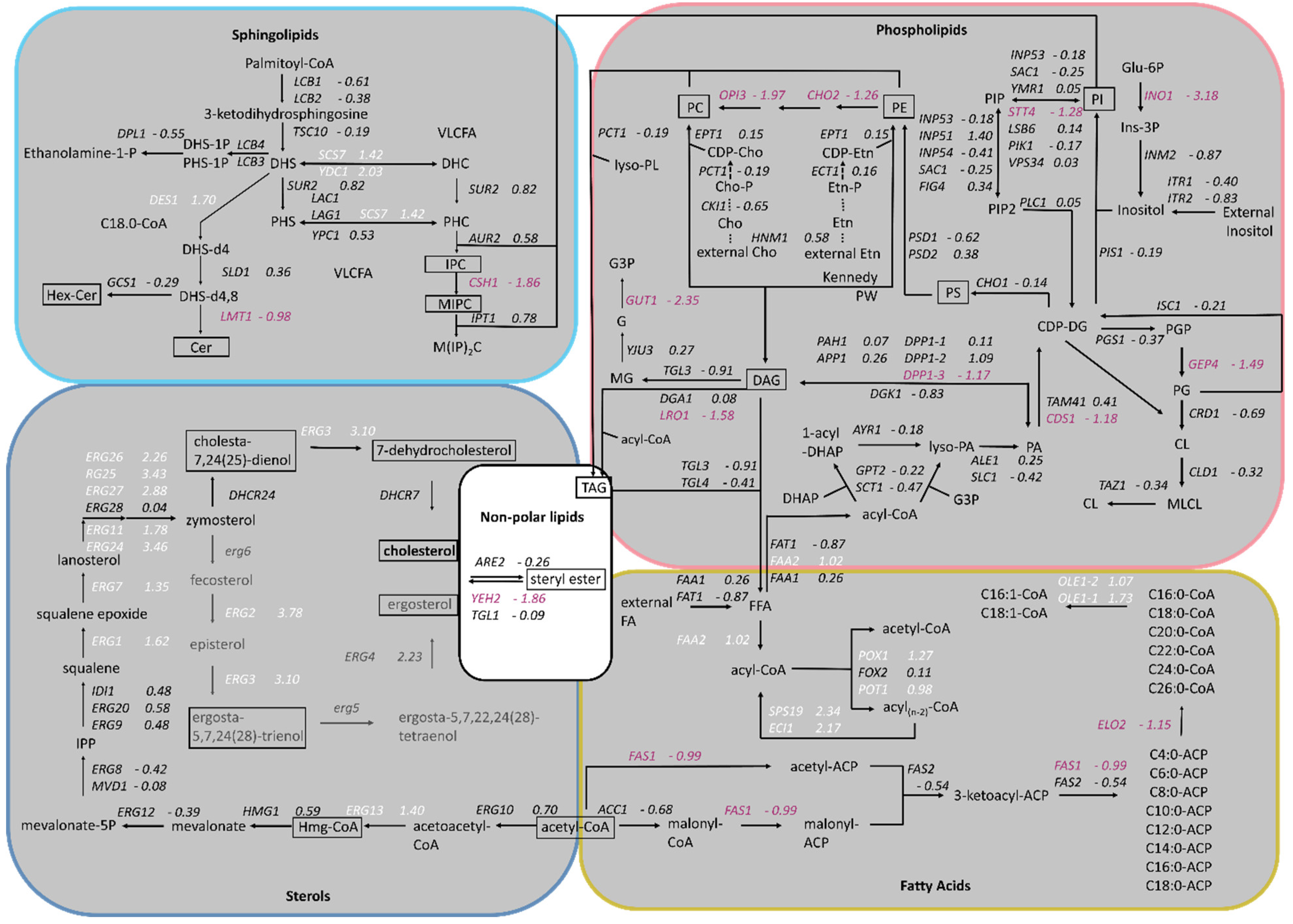 Ijms 25 00781 g002 Ijms 25 00781 g002