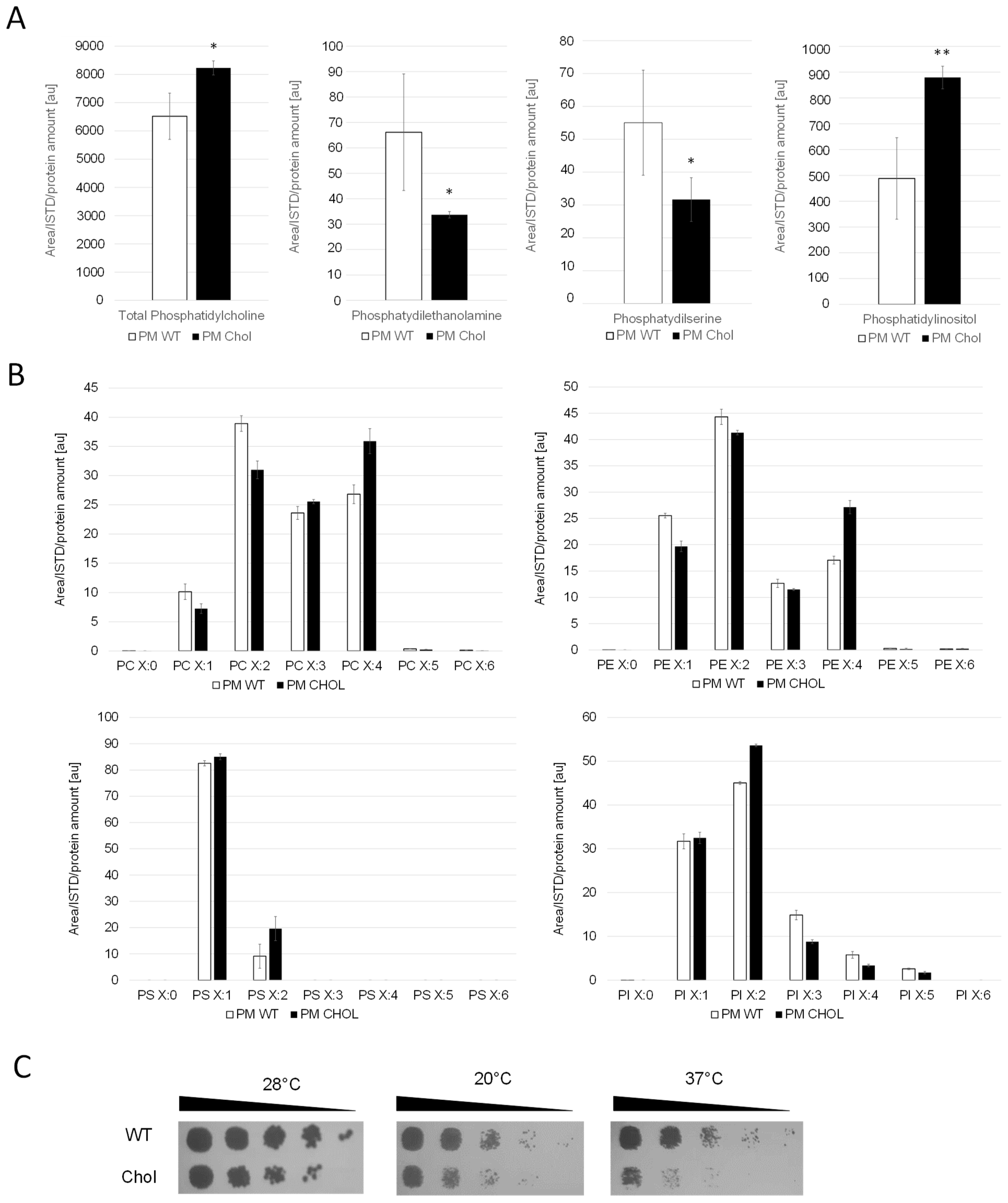 Ijms 25 00781 g003 Ijms 25 00781 g003