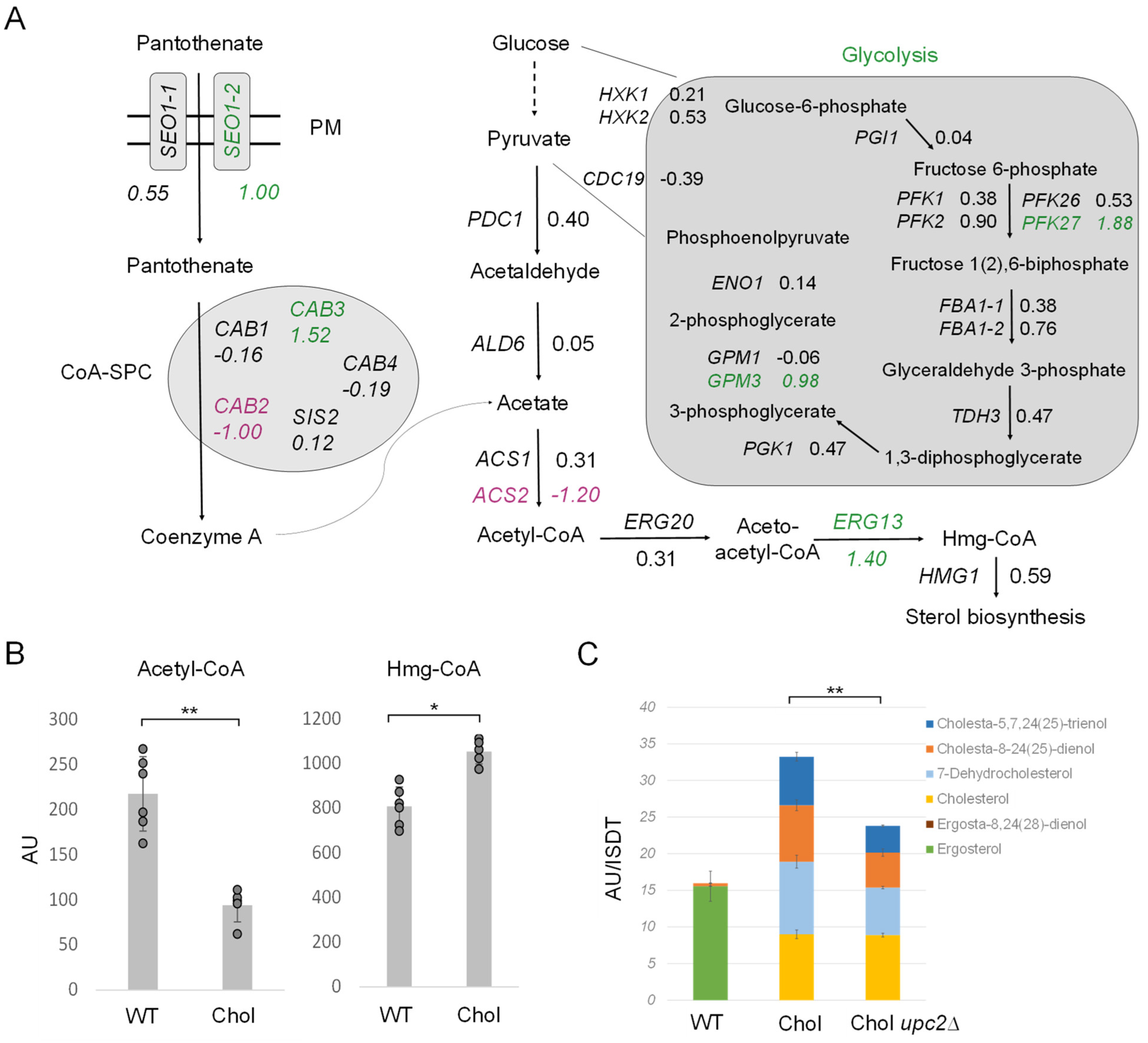 Ijms 25 00781 g007 Ijms 25 00781 g007