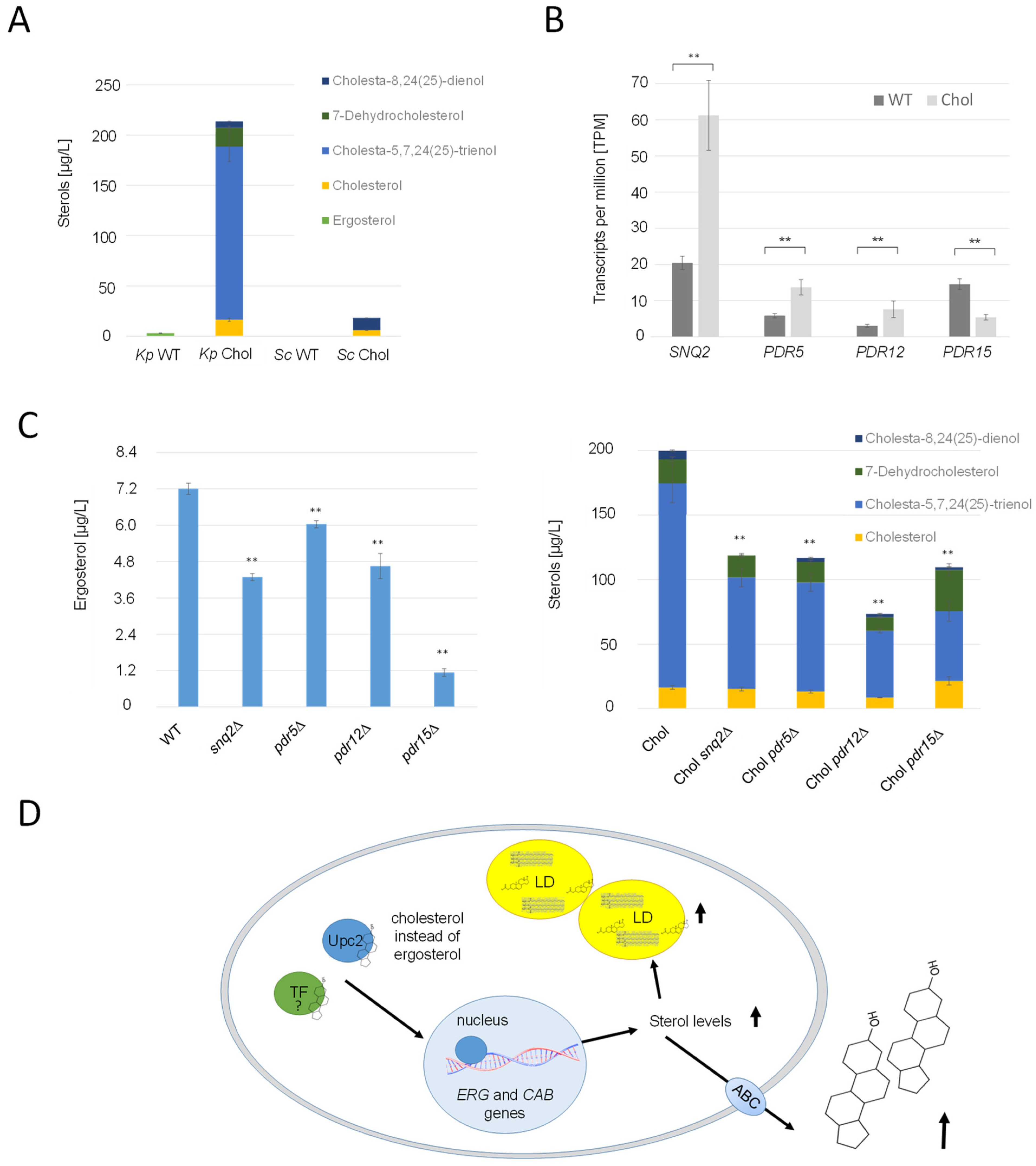 Ijms 25 00781 g008 Ijms 25 00781 g008