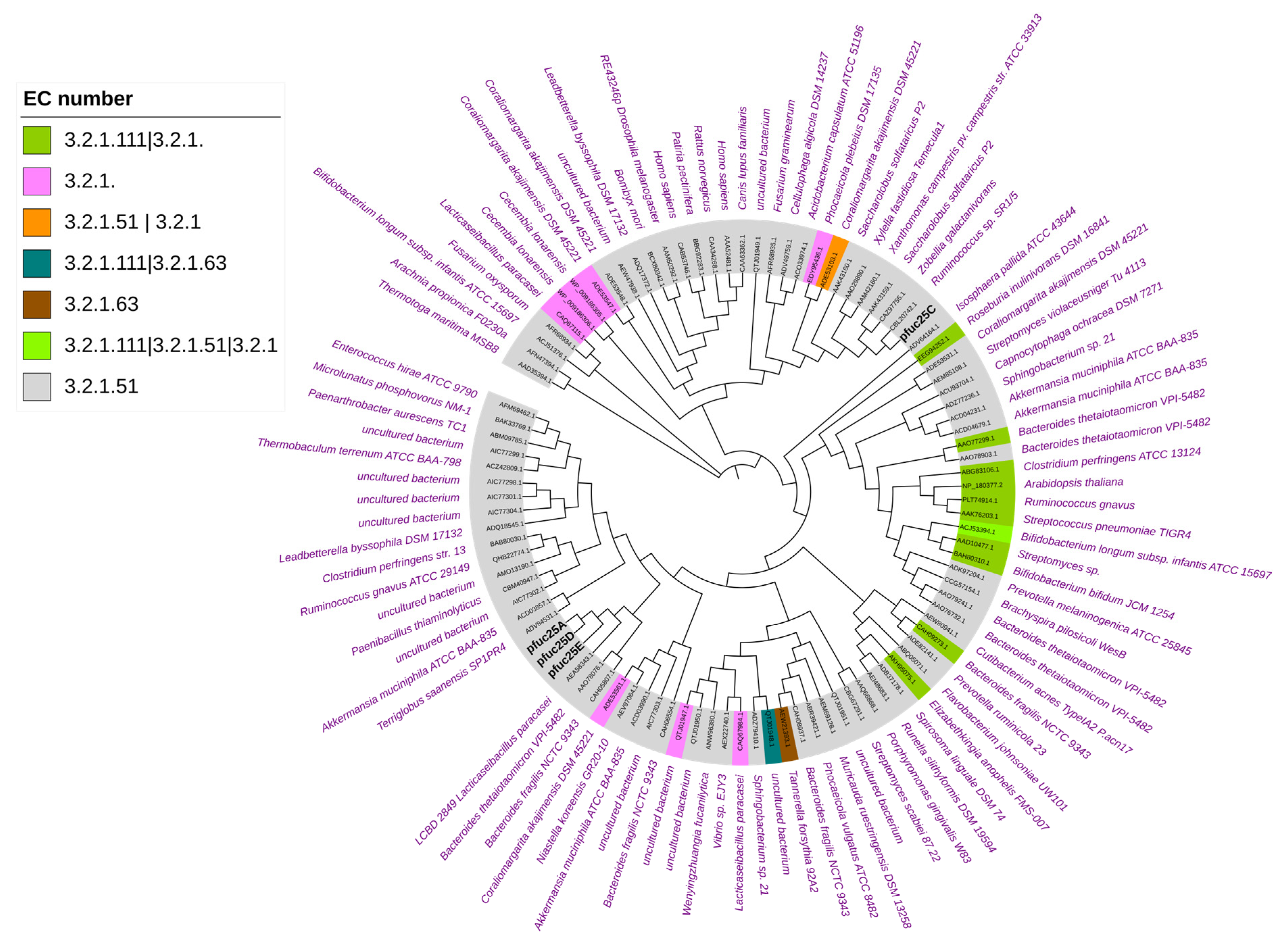 Ijms 25 00809 g001 Ijms 25 00809 g001