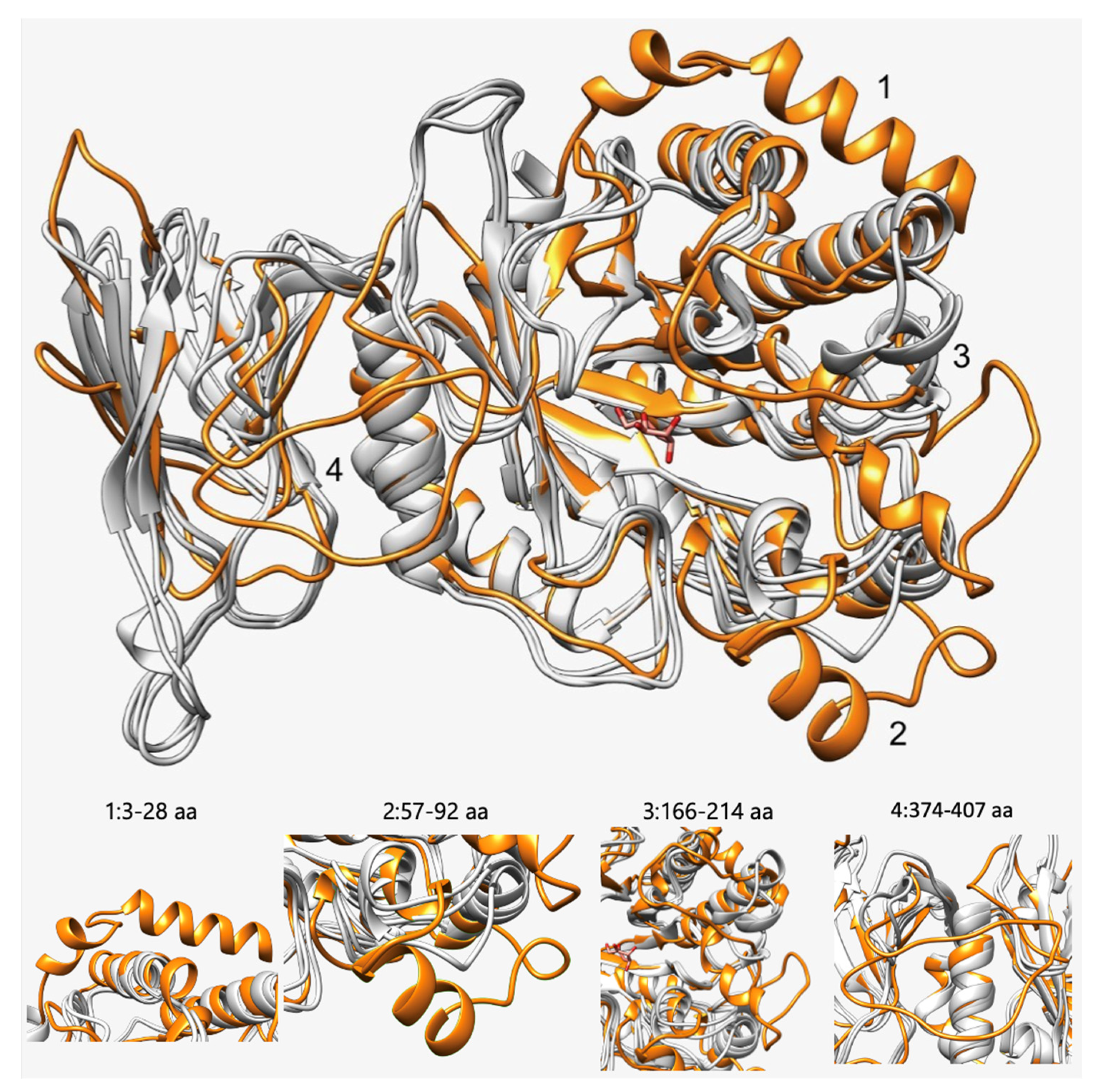 Ijms 25 00809 g002 Ijms 25 00809 g002