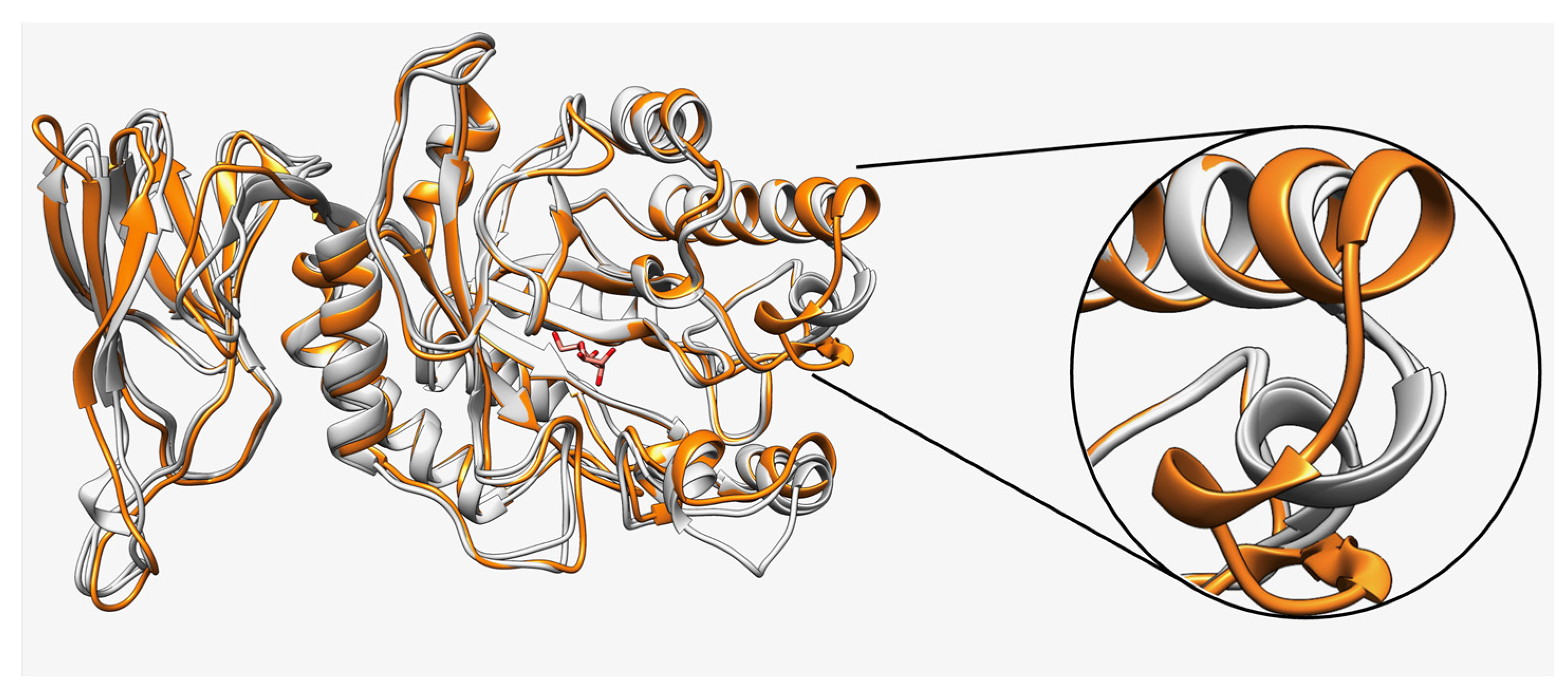 Ijms 25 00809 g003 Ijms 25 00809 g003