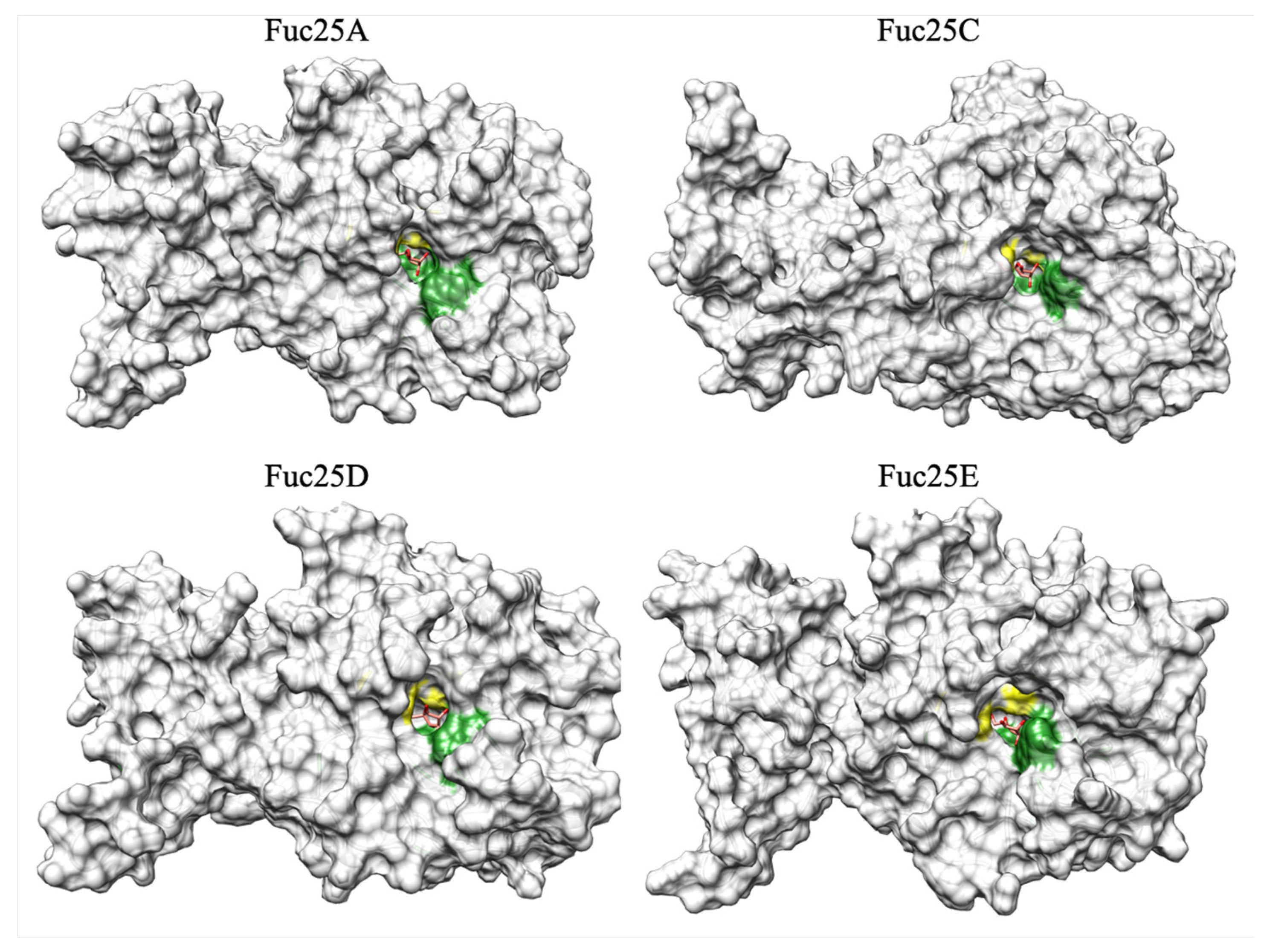 Ijms 25 00809 g004 Ijms 25 00809 g004