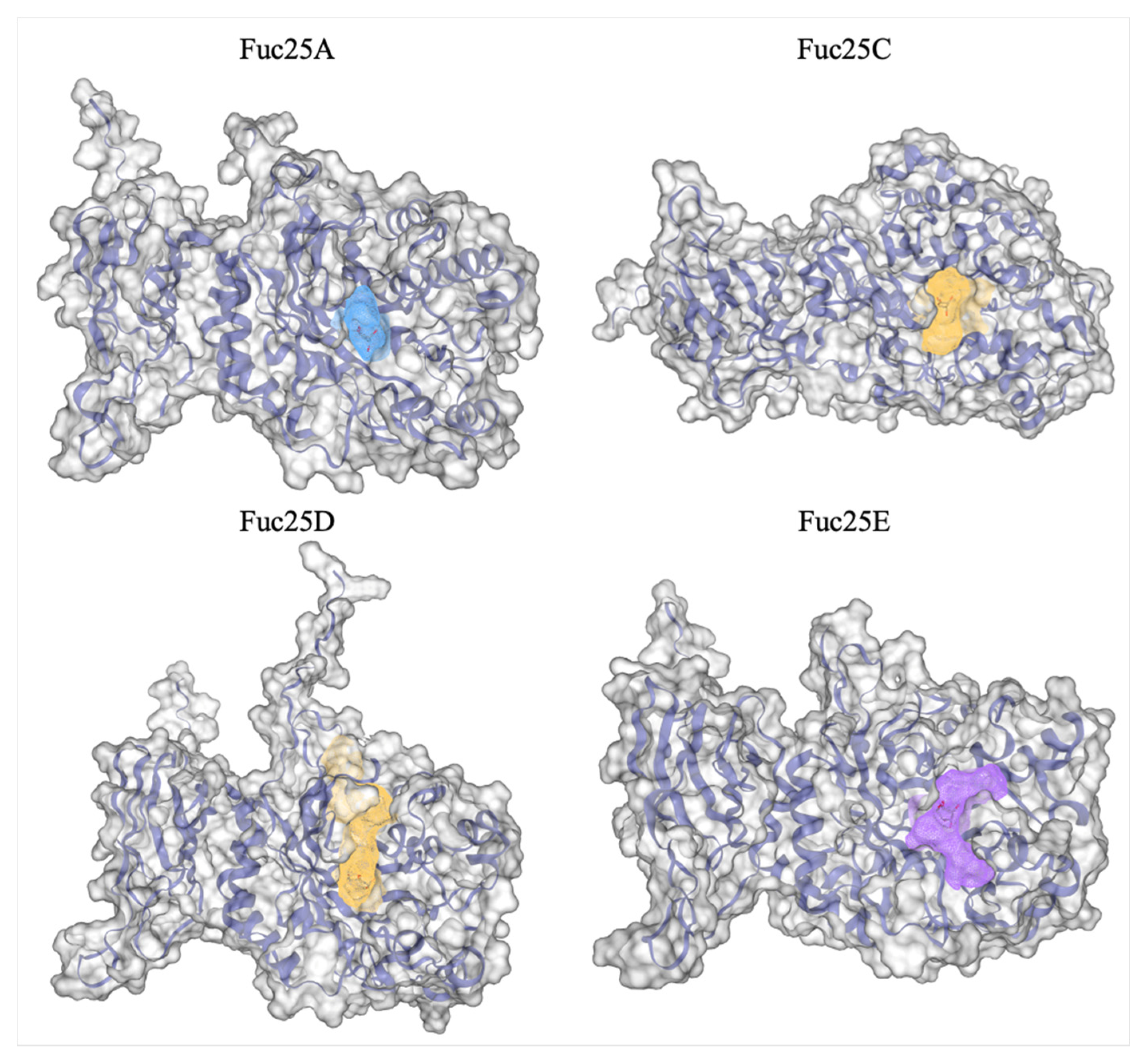 Ijms 25 00809 g005 Ijms 25 00809 g005