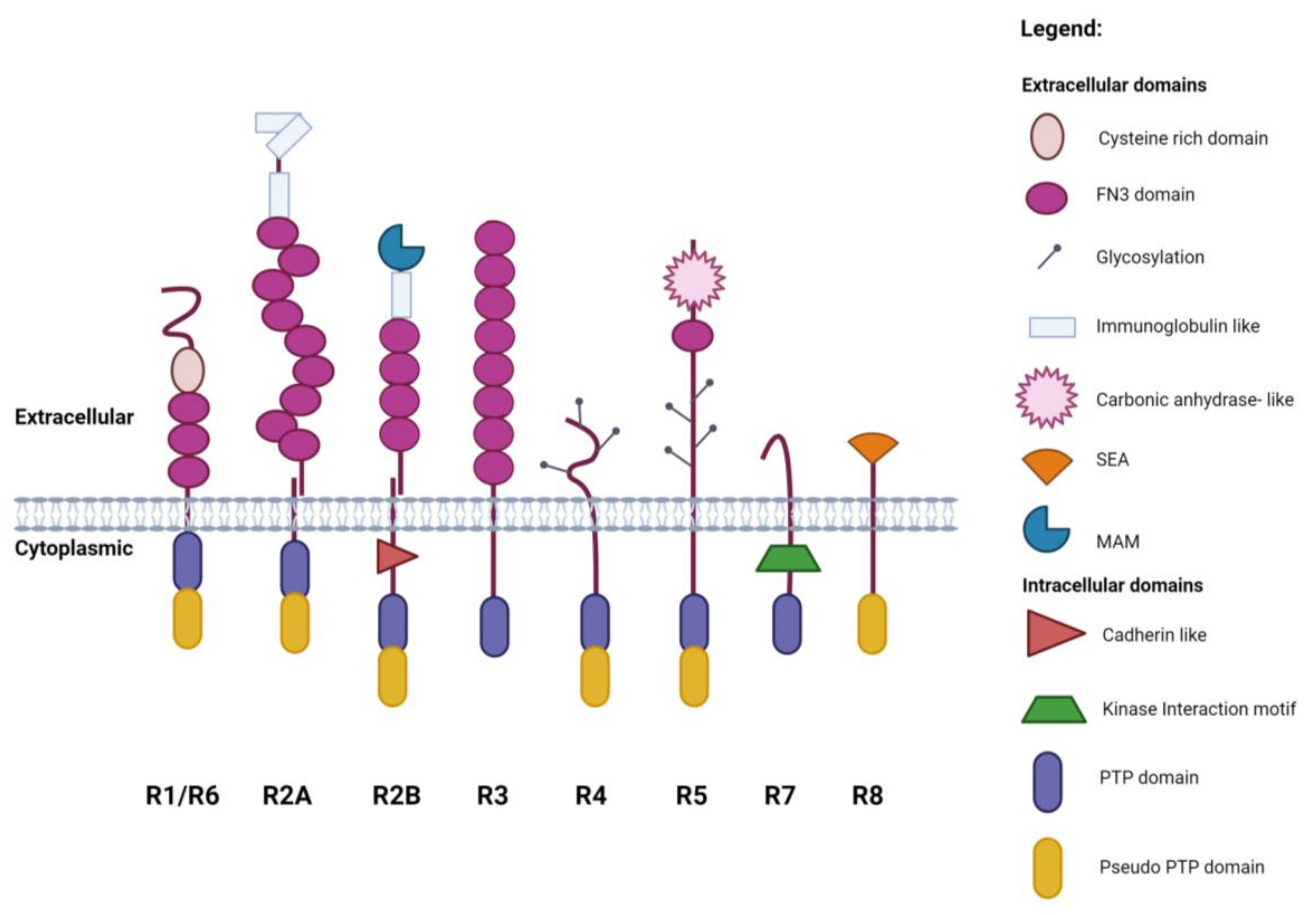 Ijms 25 00820 g001 Ijms 25 00820 g001