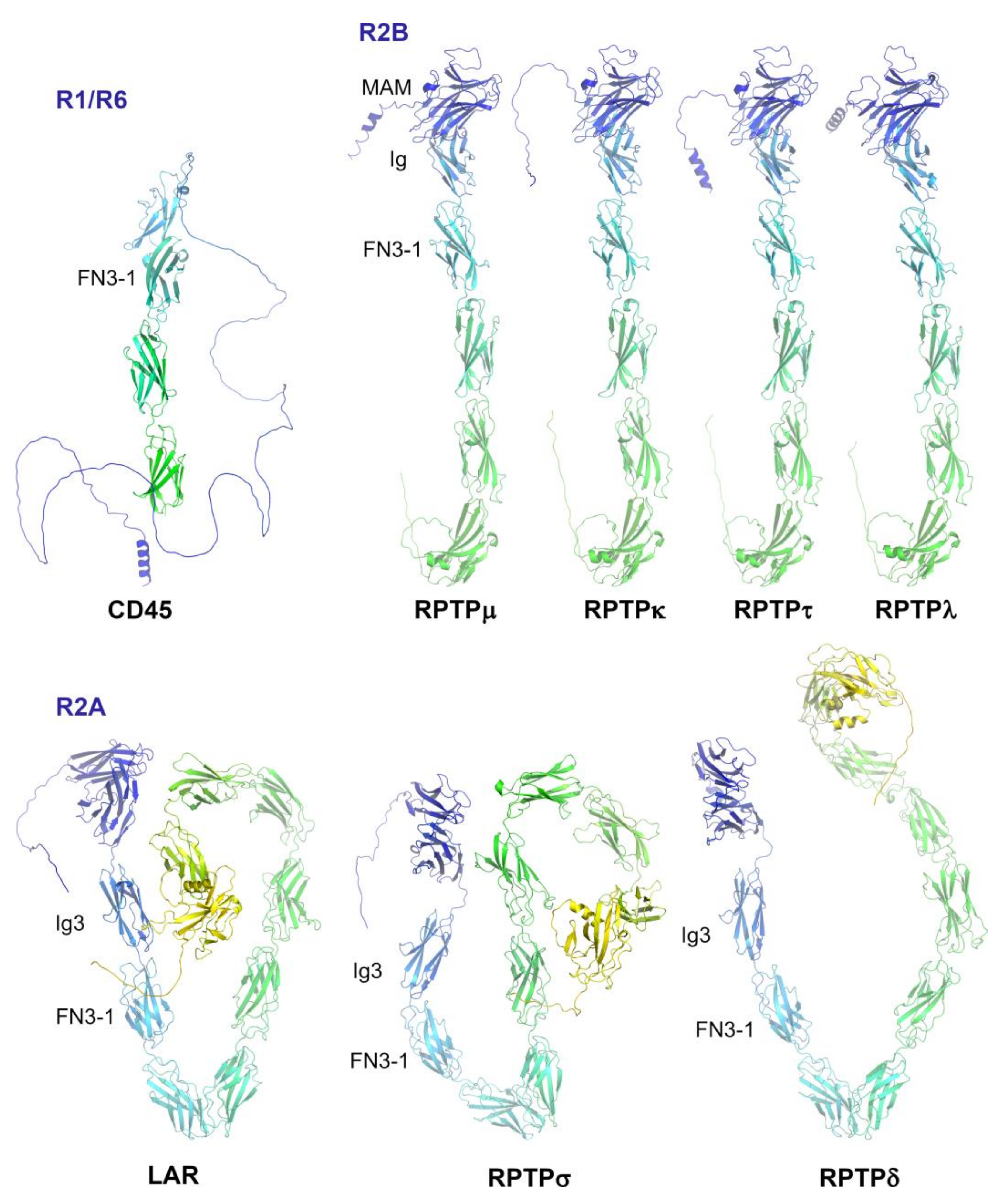 Ijms 25 00820 g002 Ijms 25 00820 g002