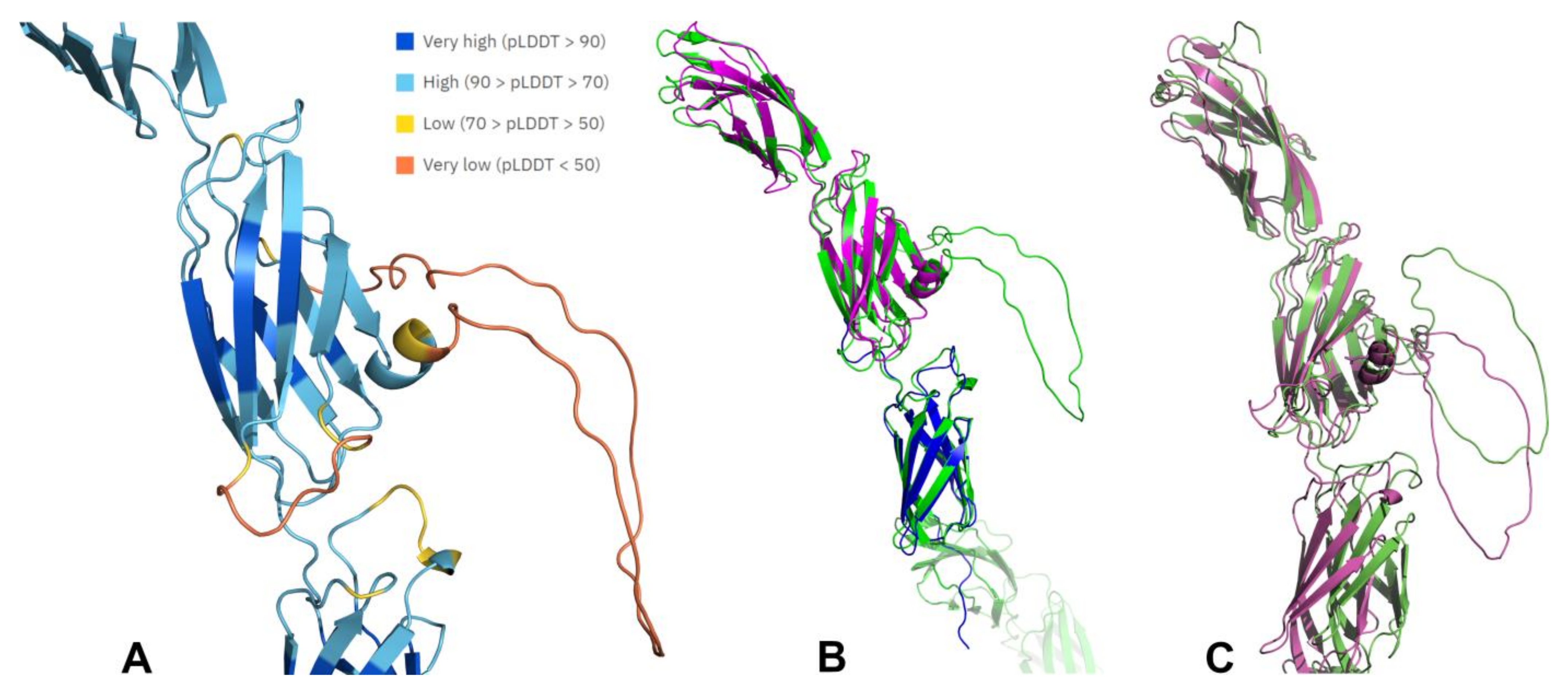 Ijms 25 00820 g004 Ijms 25 00820 g004