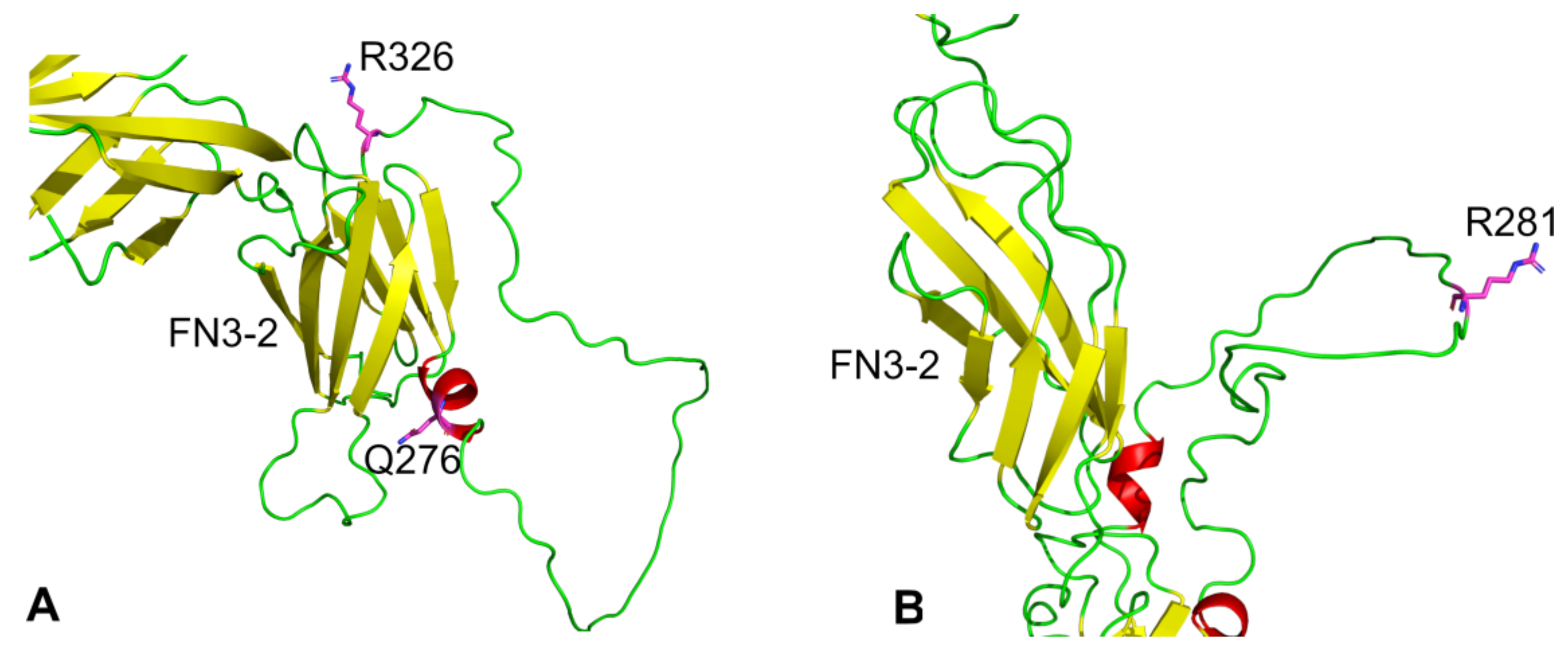 Ijms 25 00820 g005 Ijms 25 00820 g005